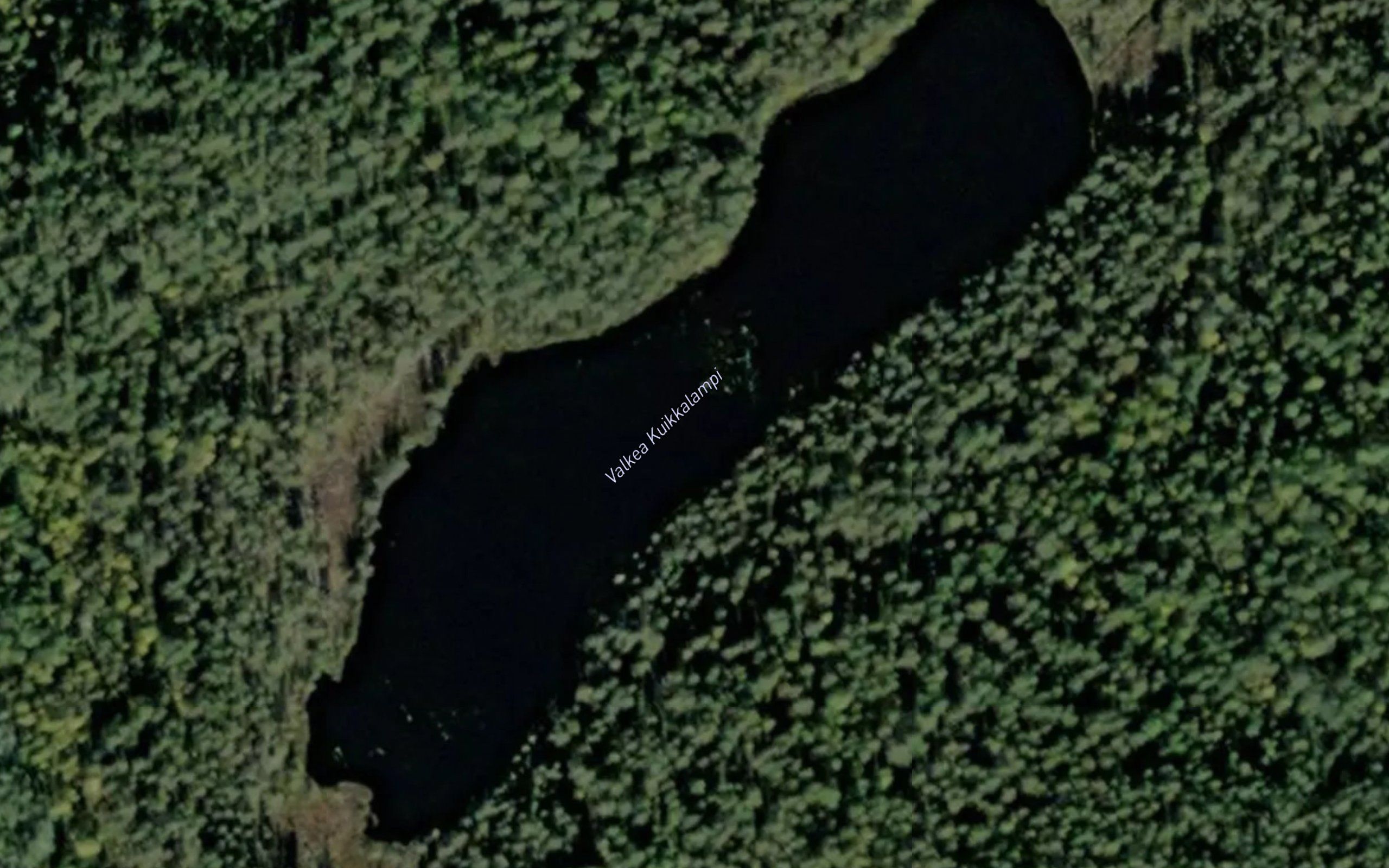 Valkea Kuikkalampi