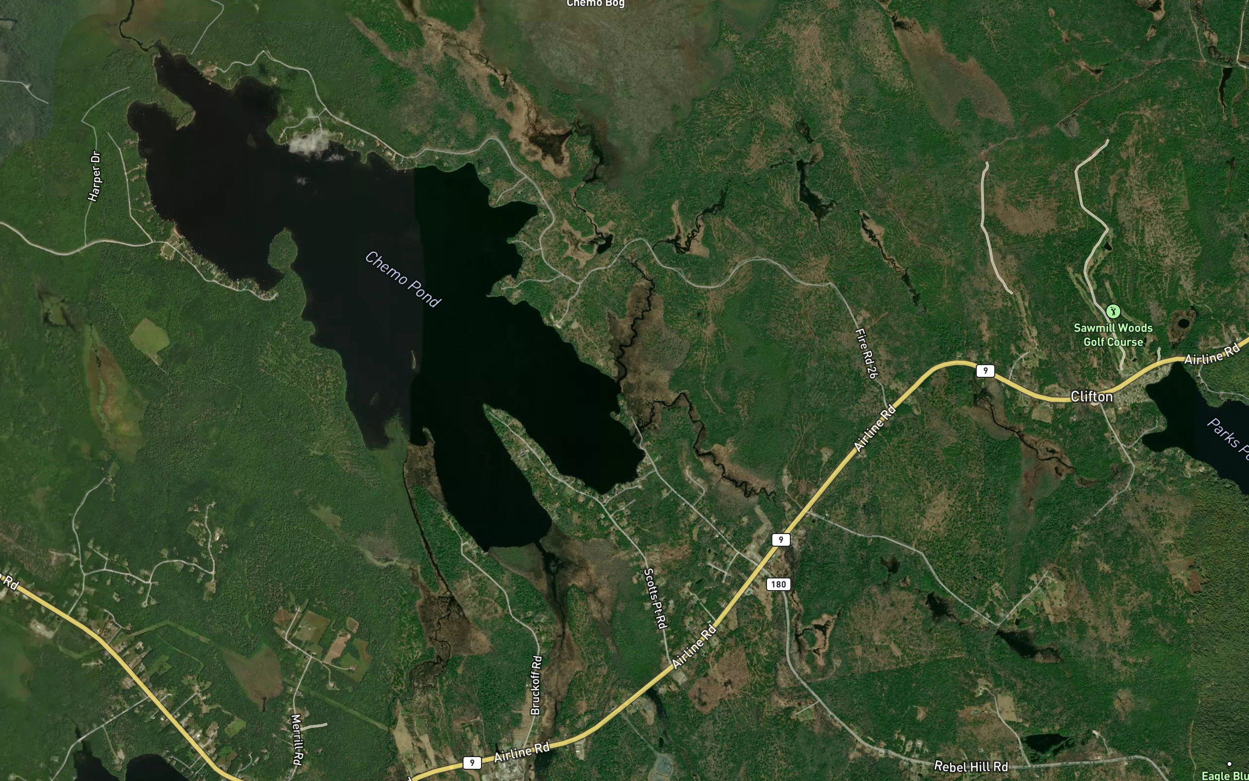 Parks Pond Brook