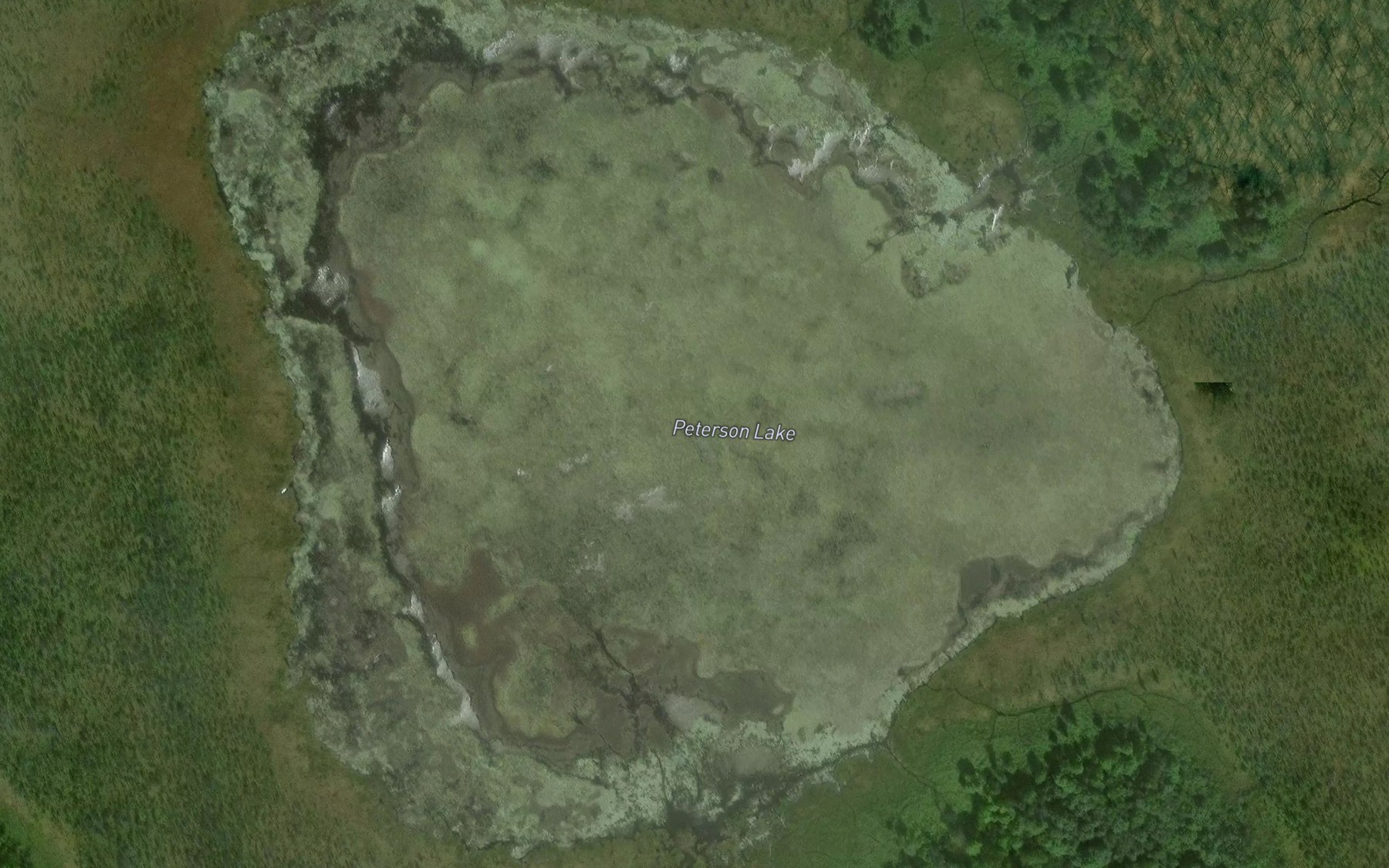 Satellite map of the Peterson Lake