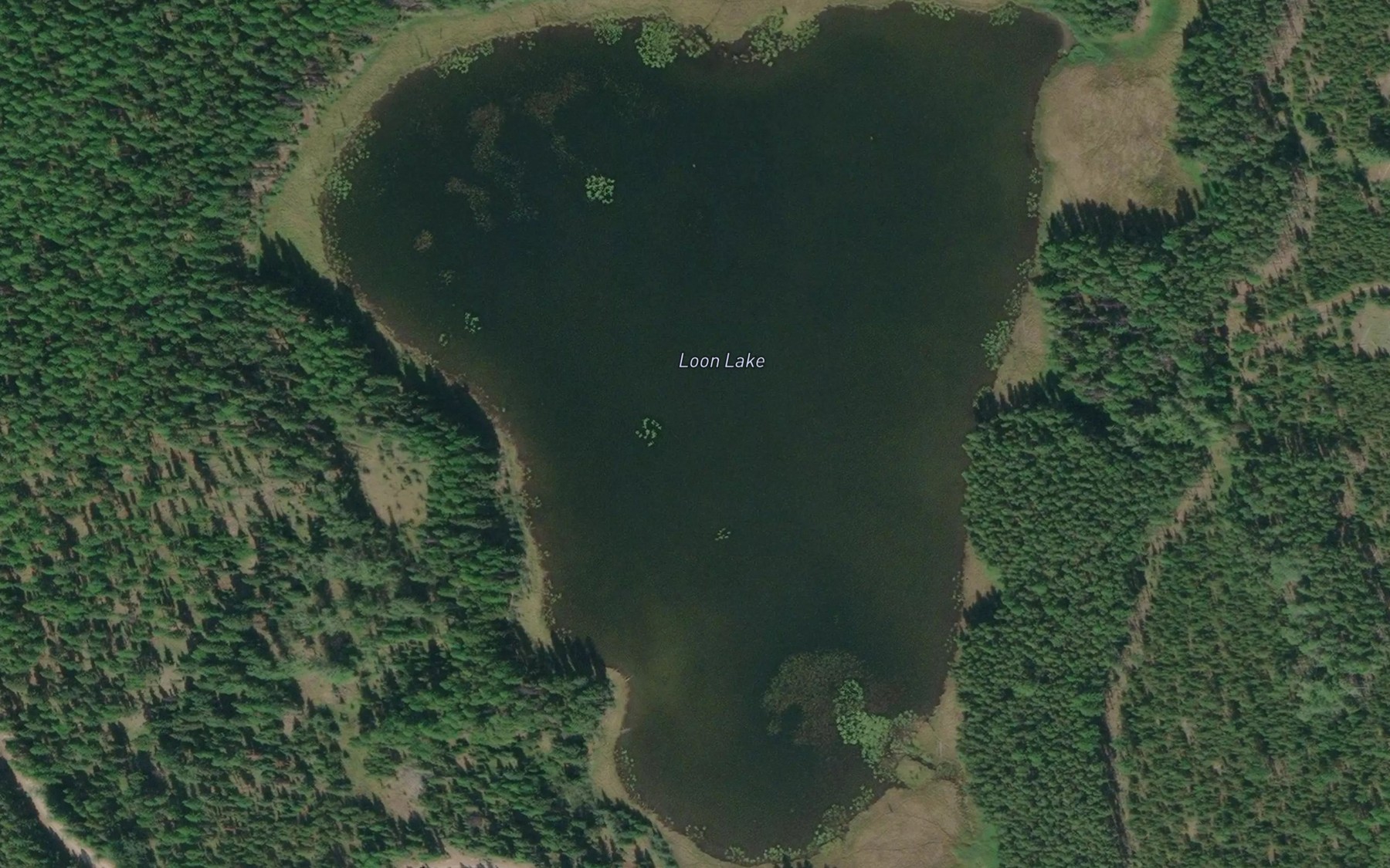 Satellite map of the Loon Lake