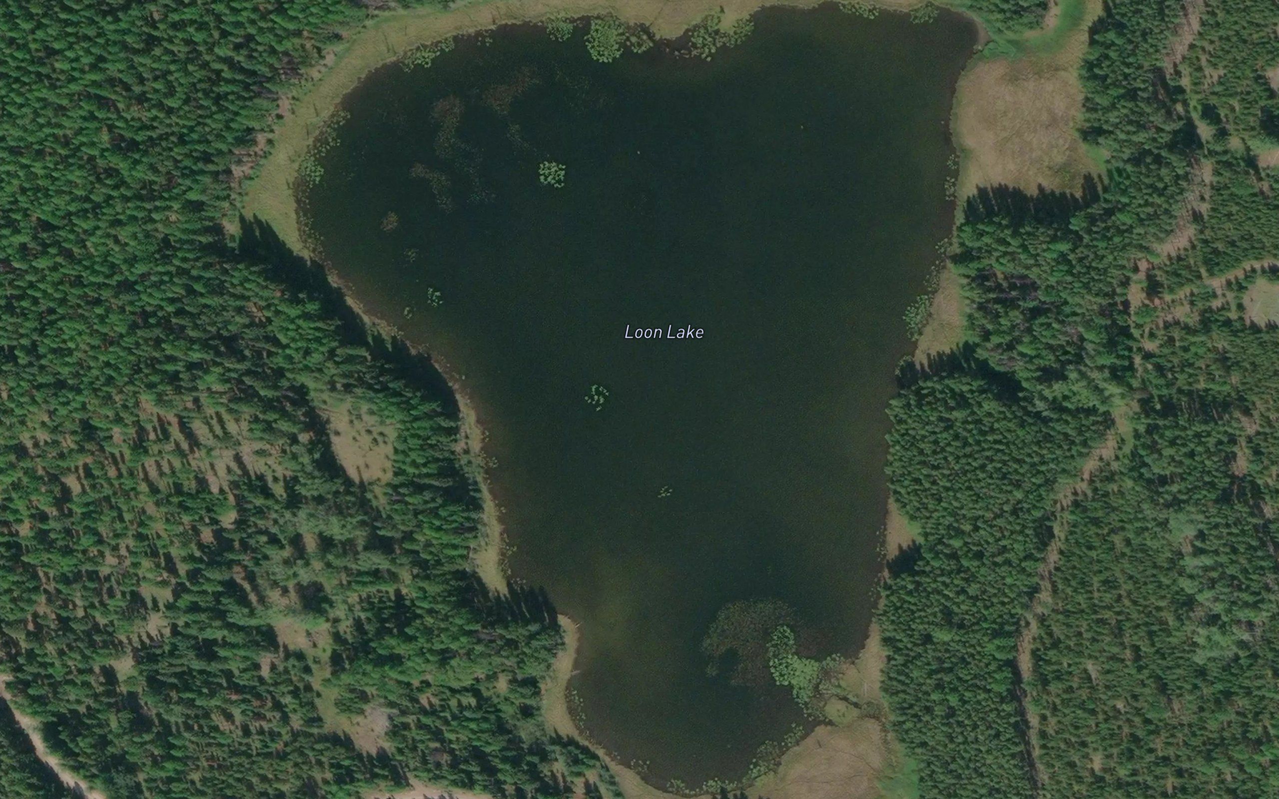 Loon Lake
