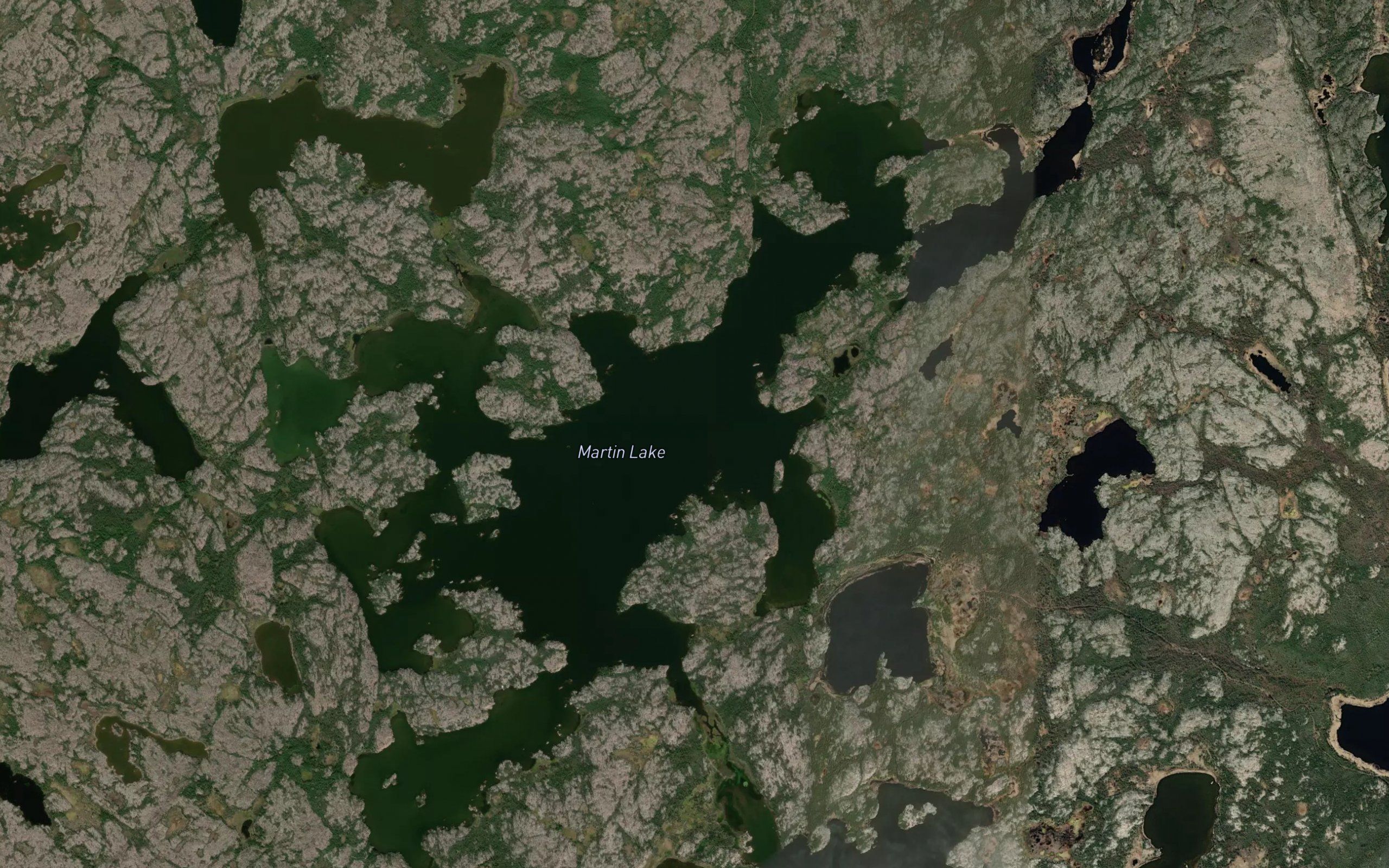 Martin Lake