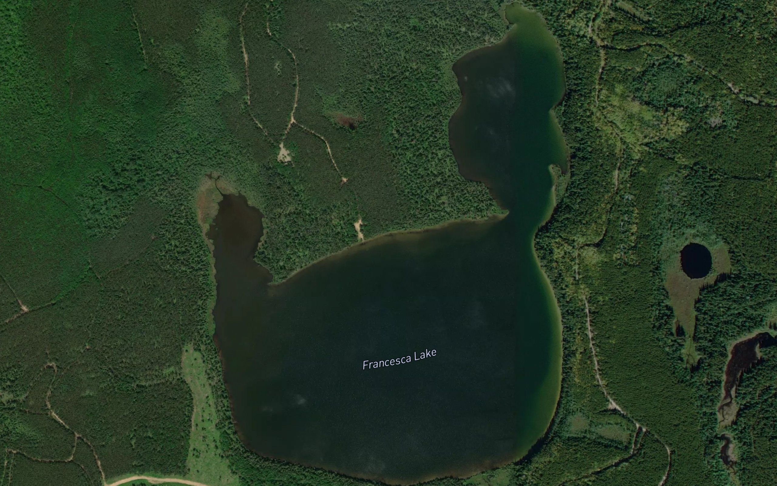 Francesca Lake