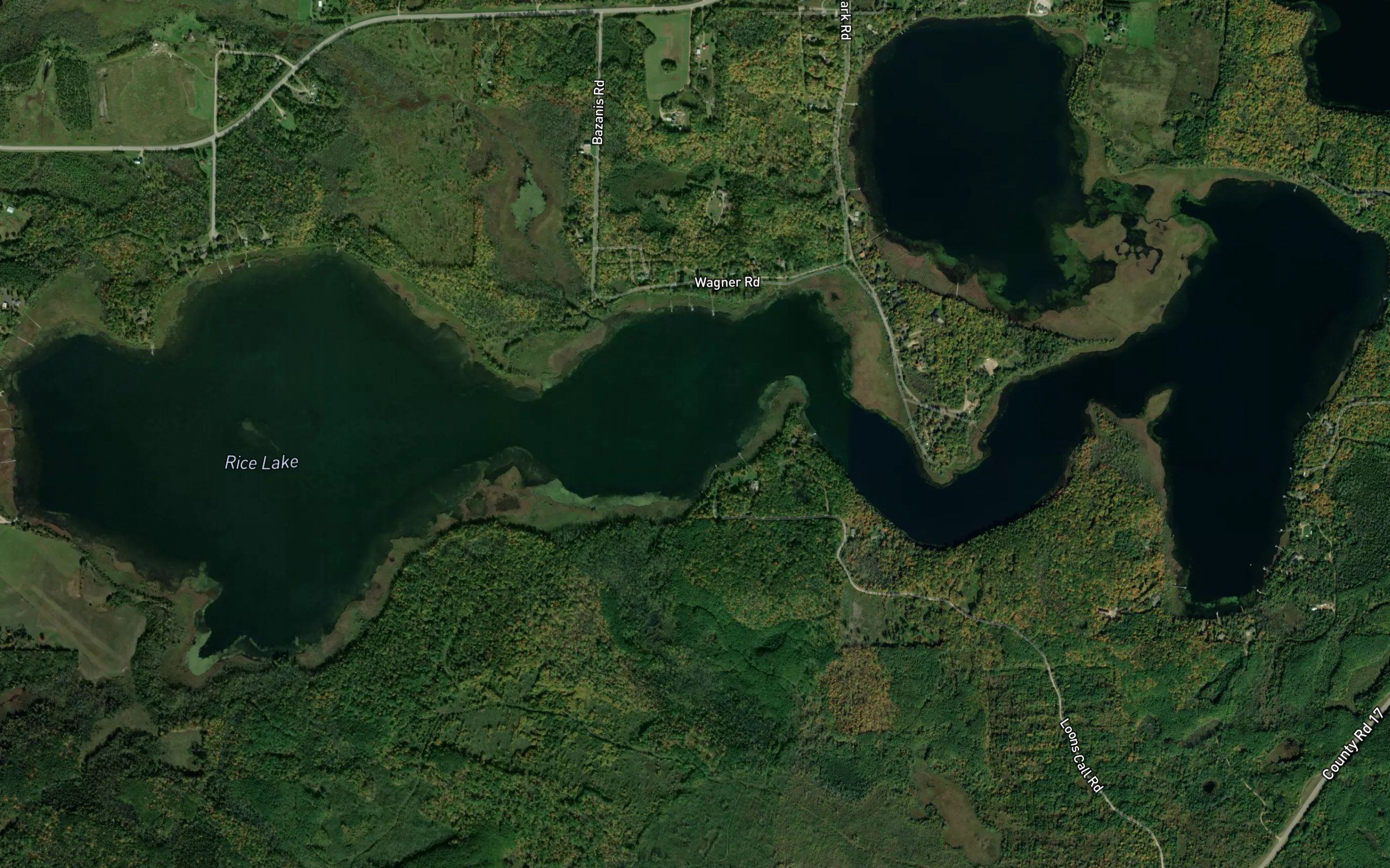 Rice Lake