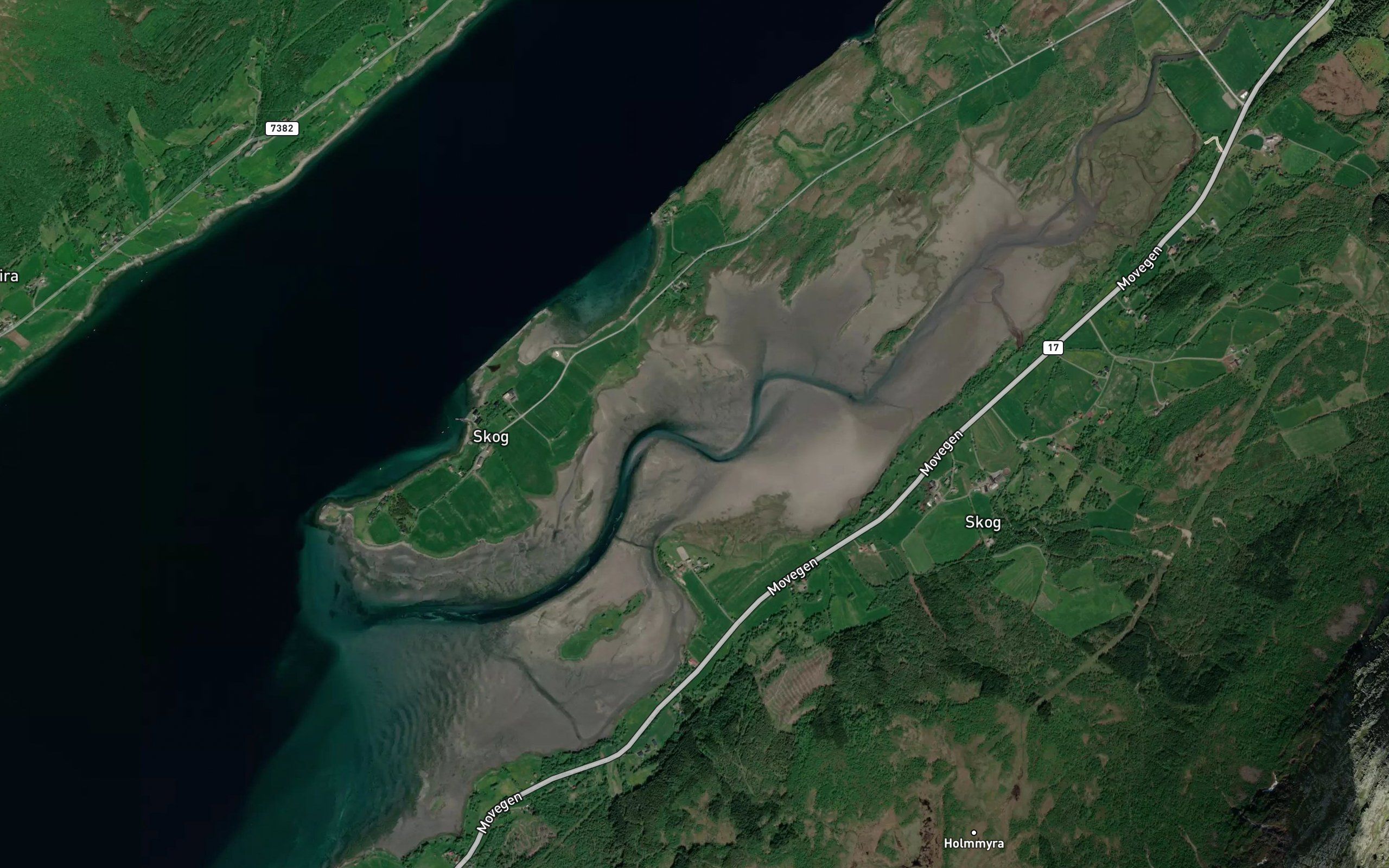 Skogsleira