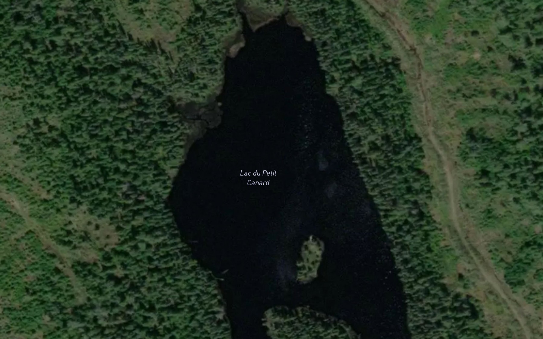 Satellite map of the Lac du Petit Canard