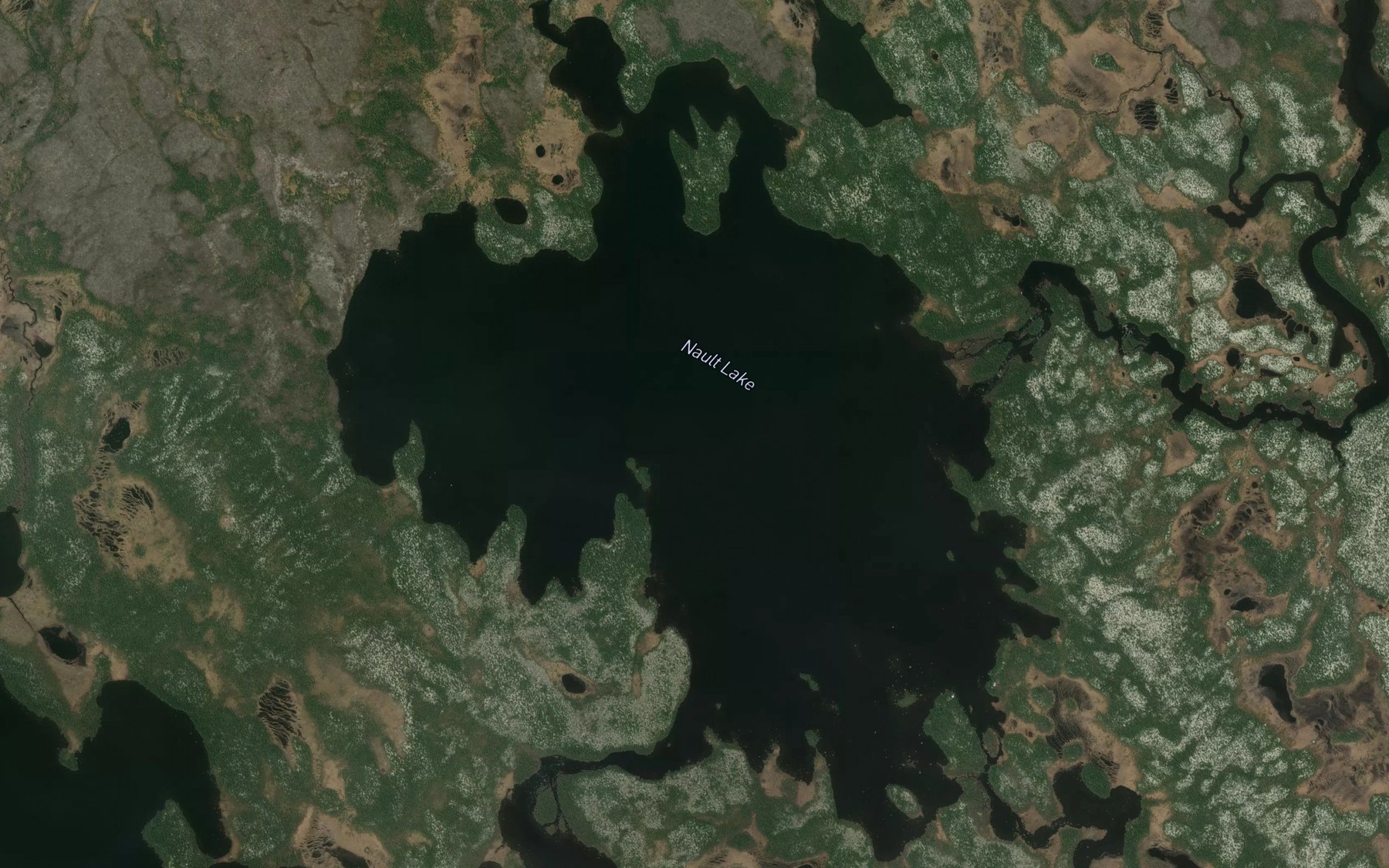 Satellite map of the Nault Lake