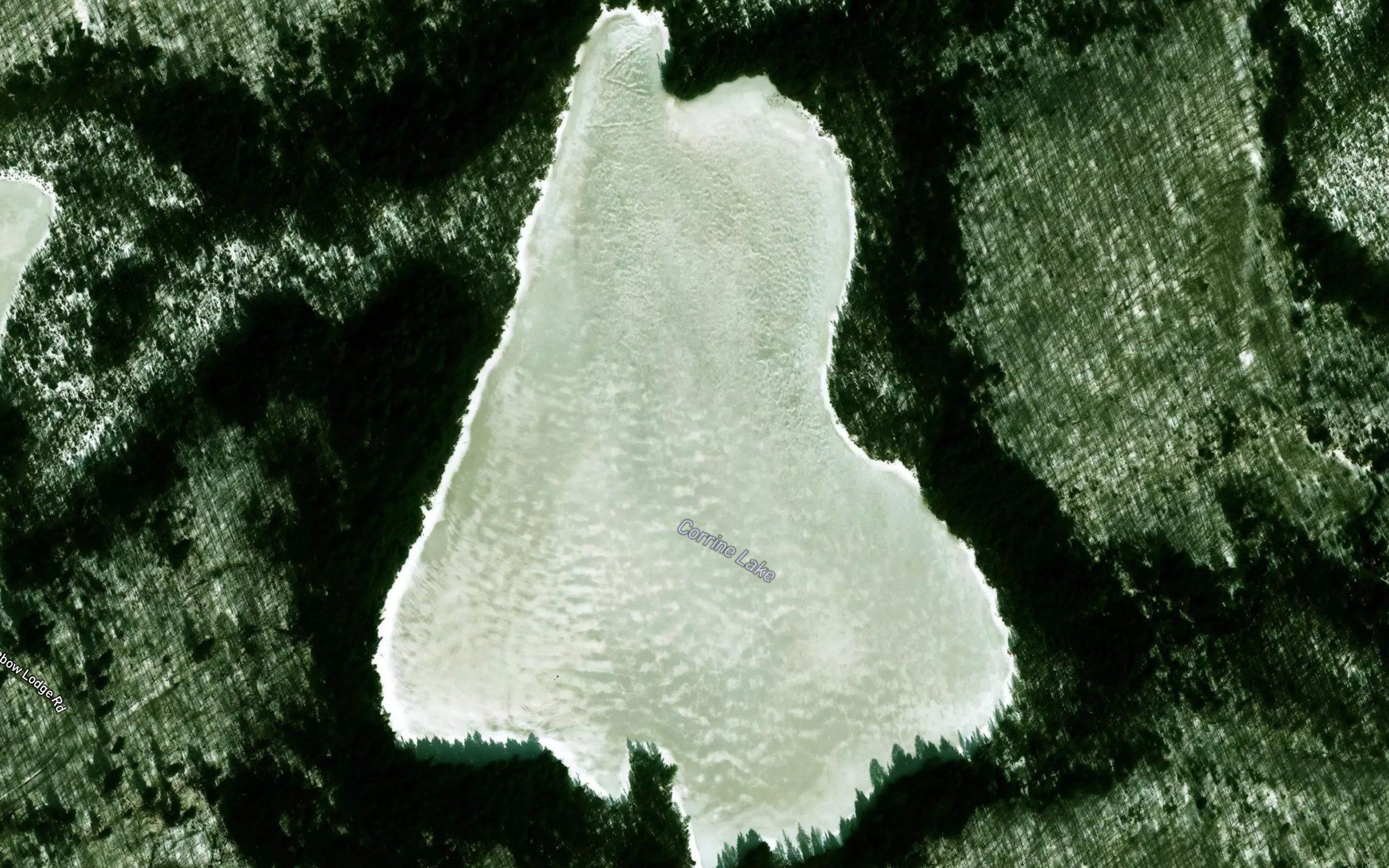Corrine Lake