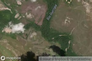 Canada Flor Amarillo