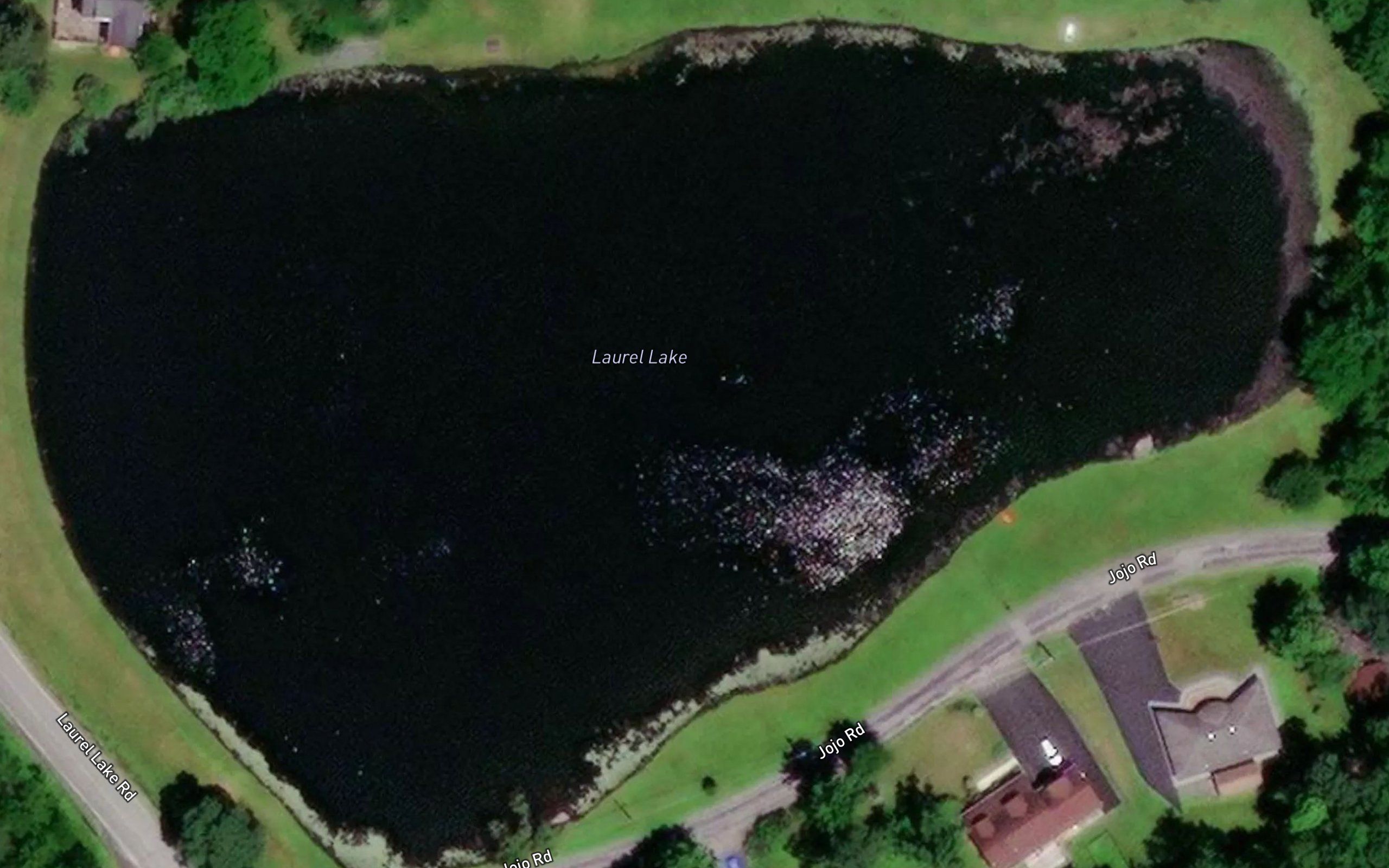 Laurel Lake
