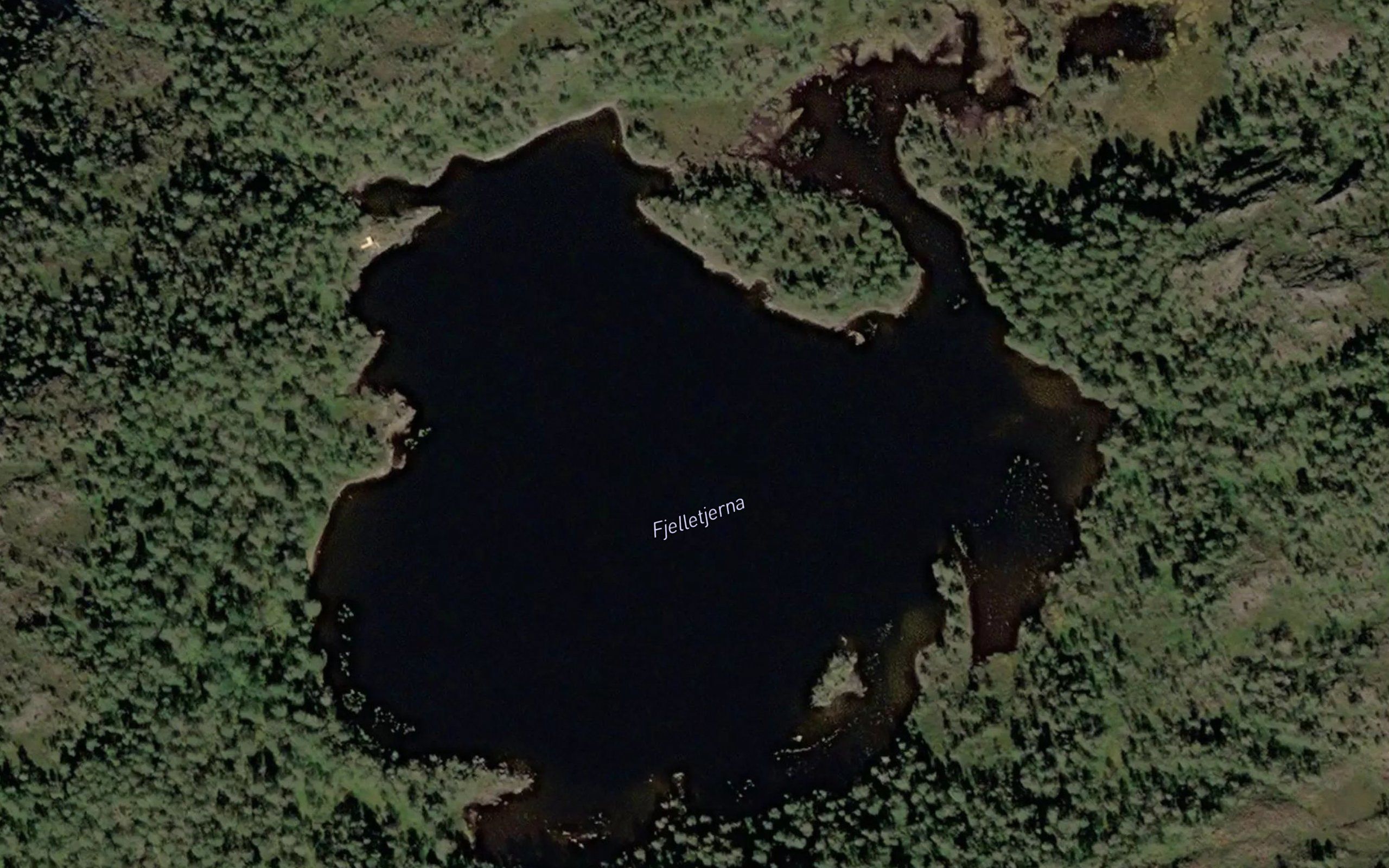 Fjelltjorna