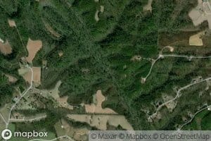 South Fork Mitchell River