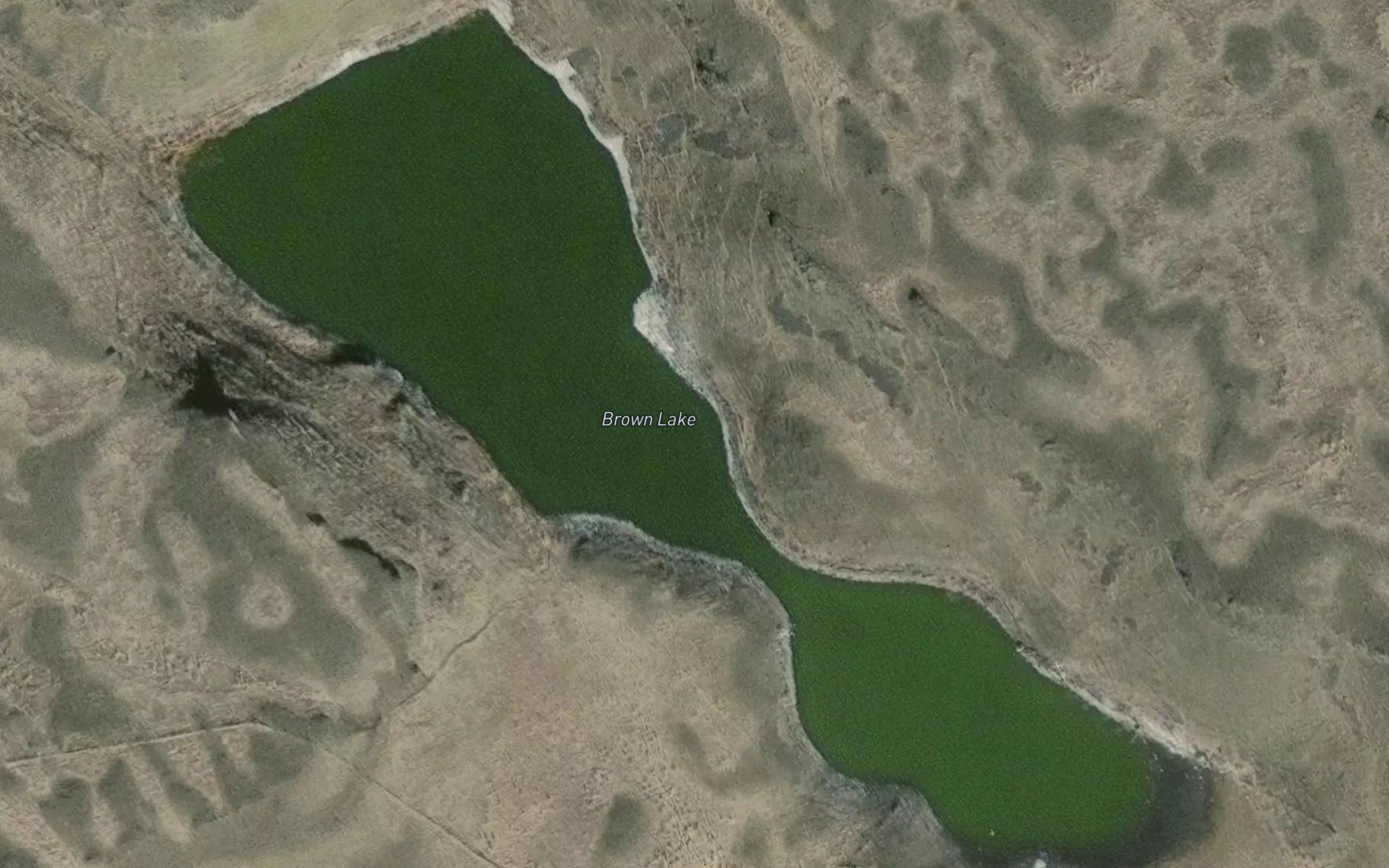 Brown Lake