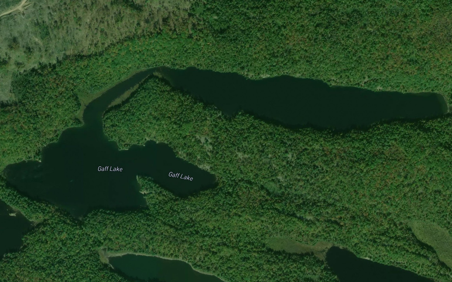 Satellite map of the Gaff Lake