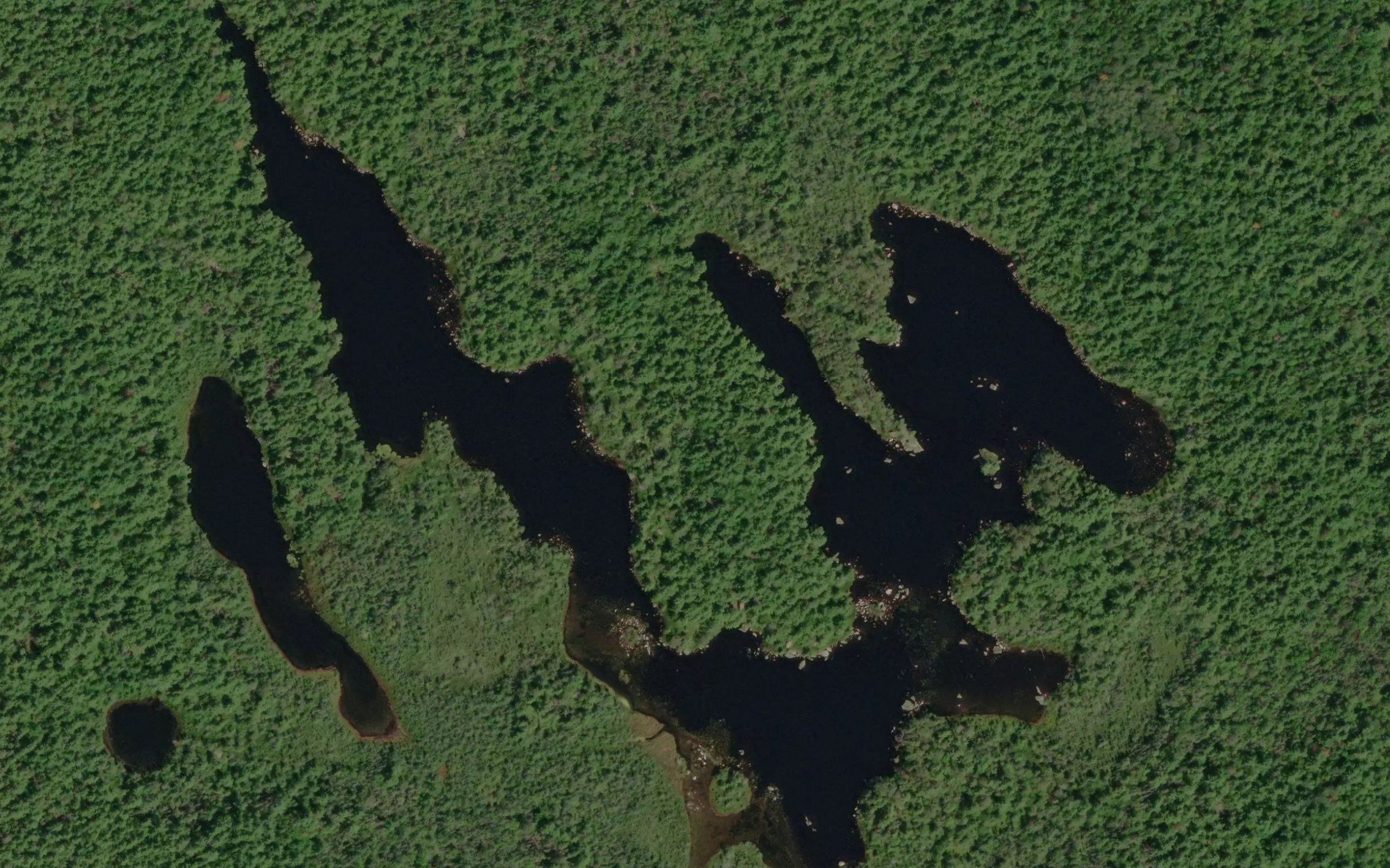 Mount Tom Lake