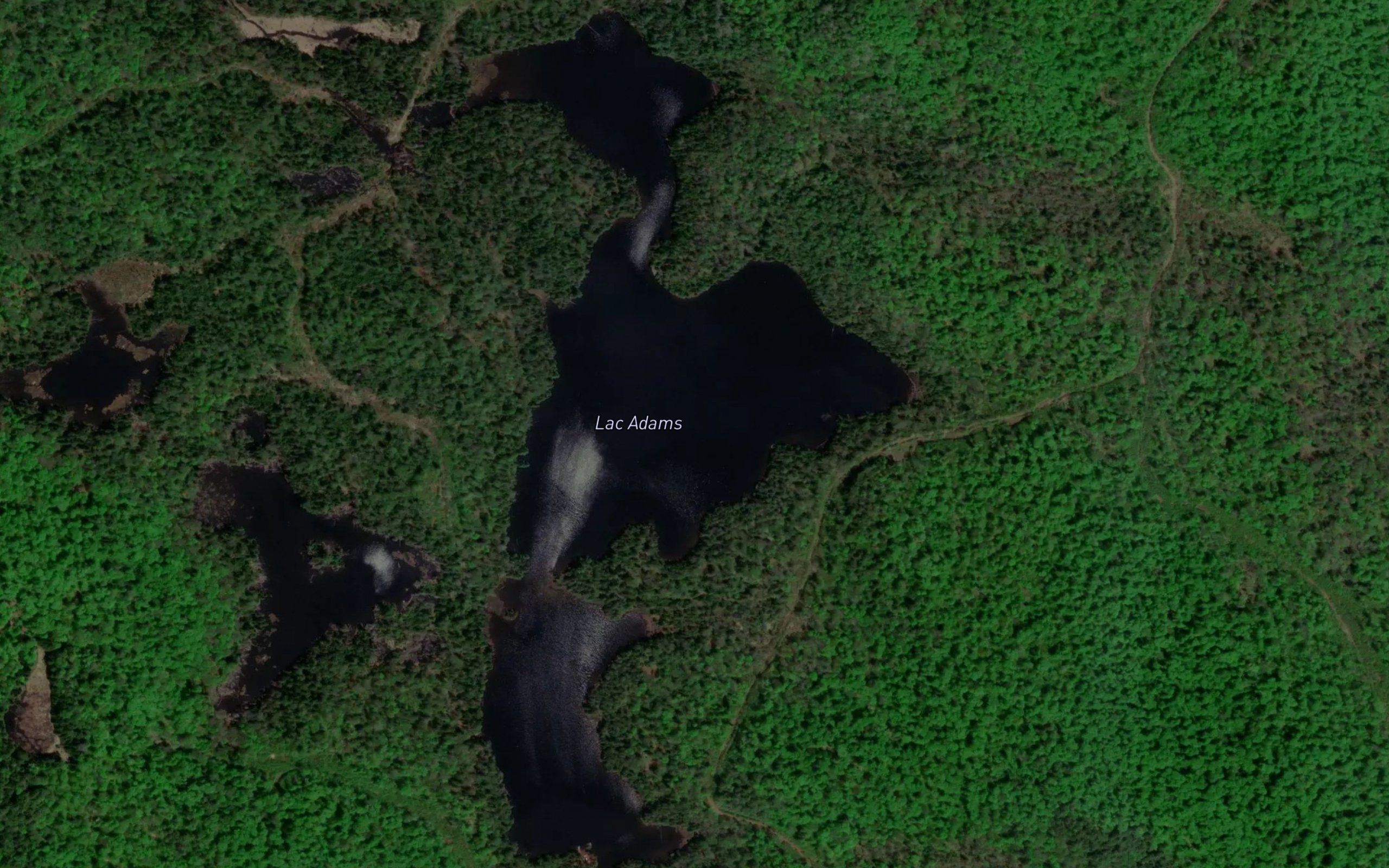 Lac Adams