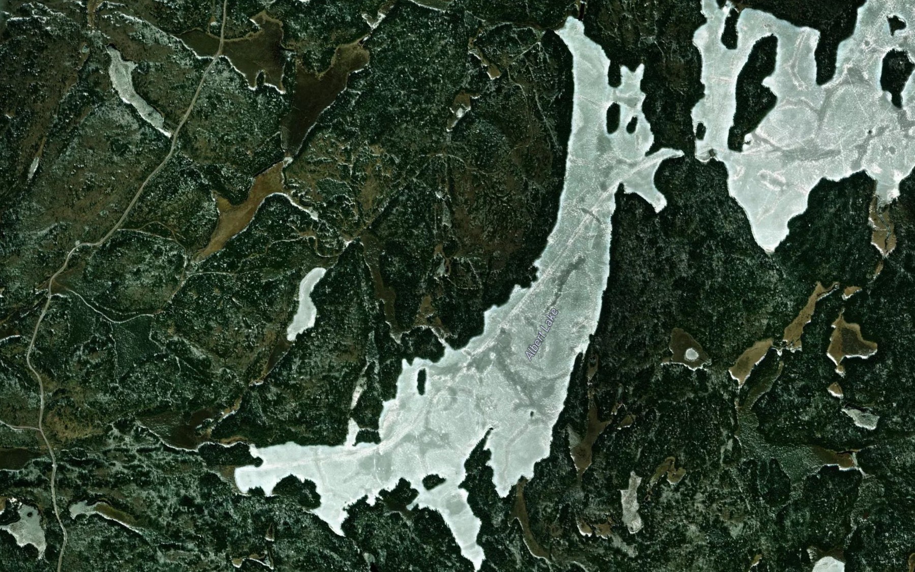 Satellite map of the Albert Lake