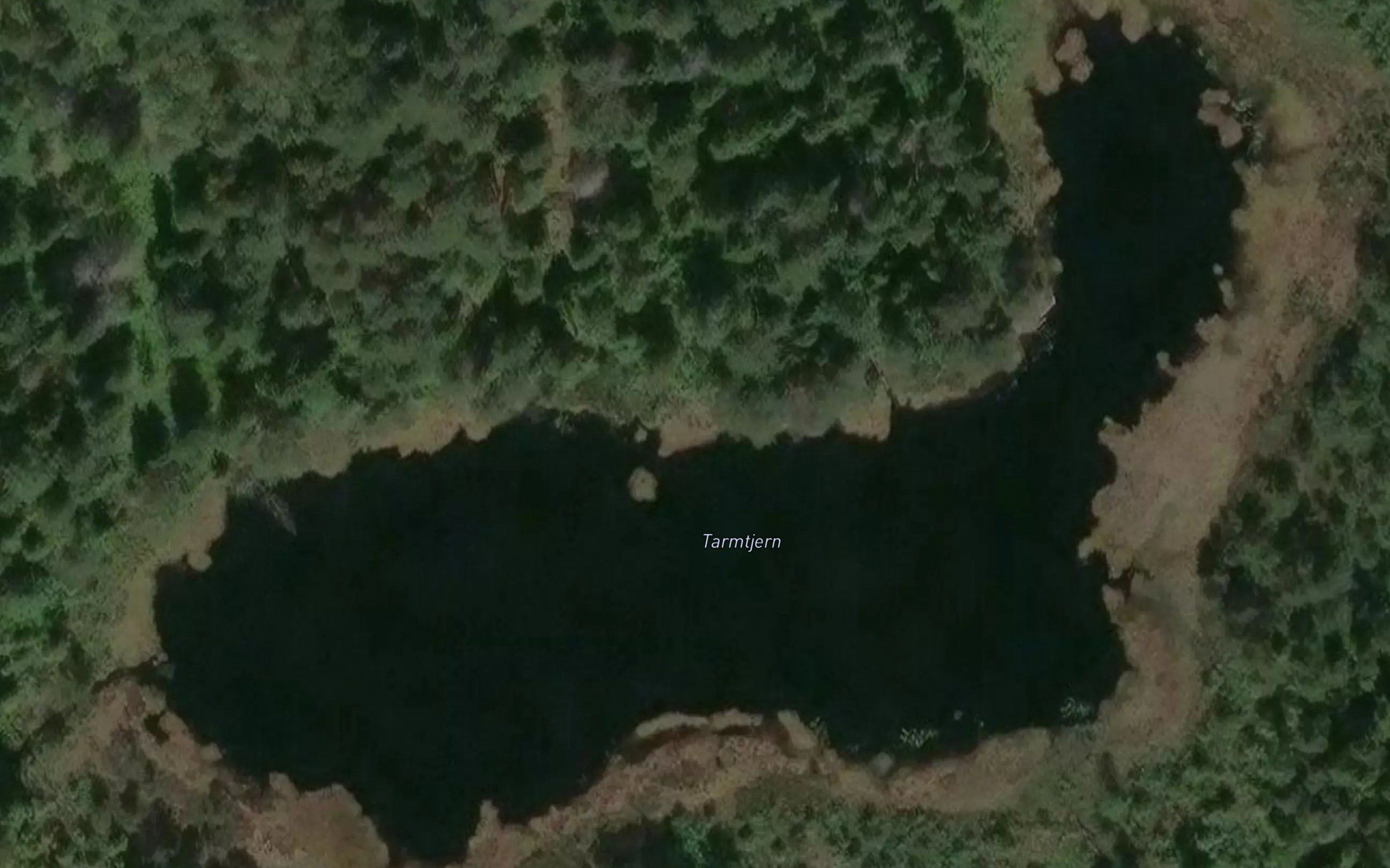 Tarmtjern