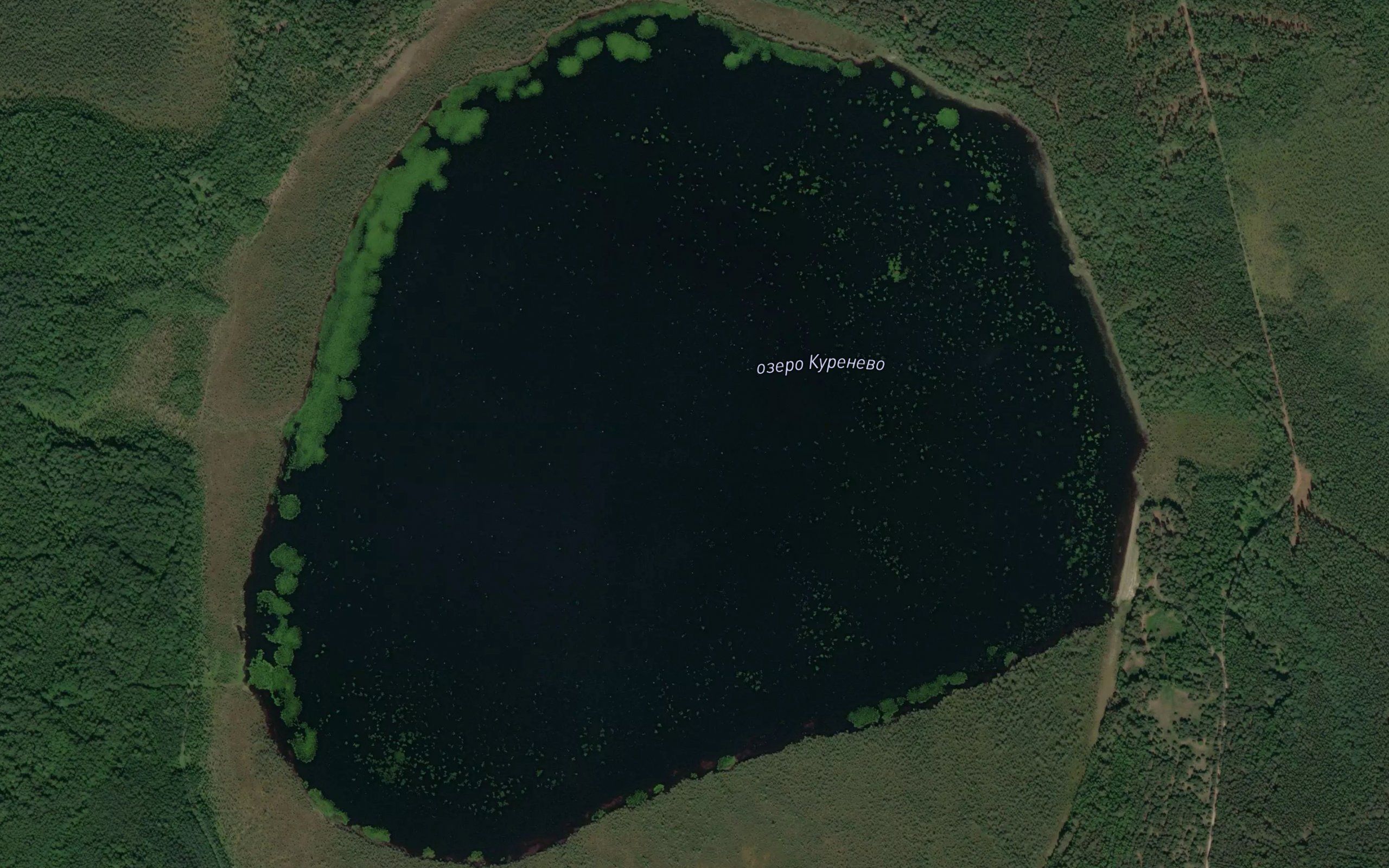 Ozero Kurenevo