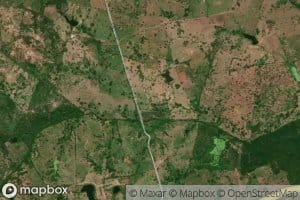 Arroyo Pasa Corriendo