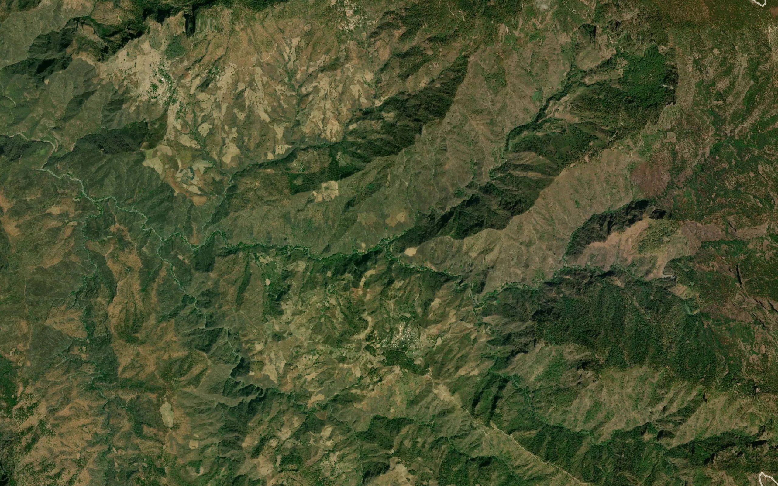 El Faisan