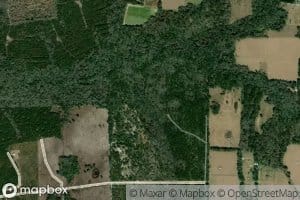 Moccasin Branch