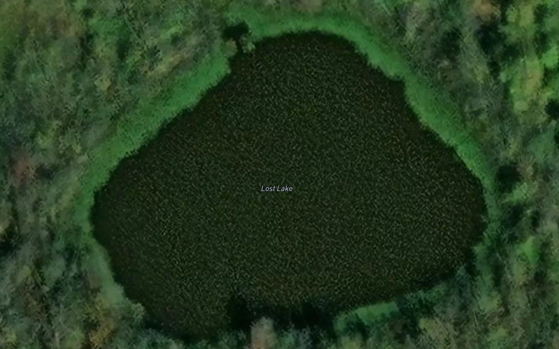 Satellite map of the Lost Lake