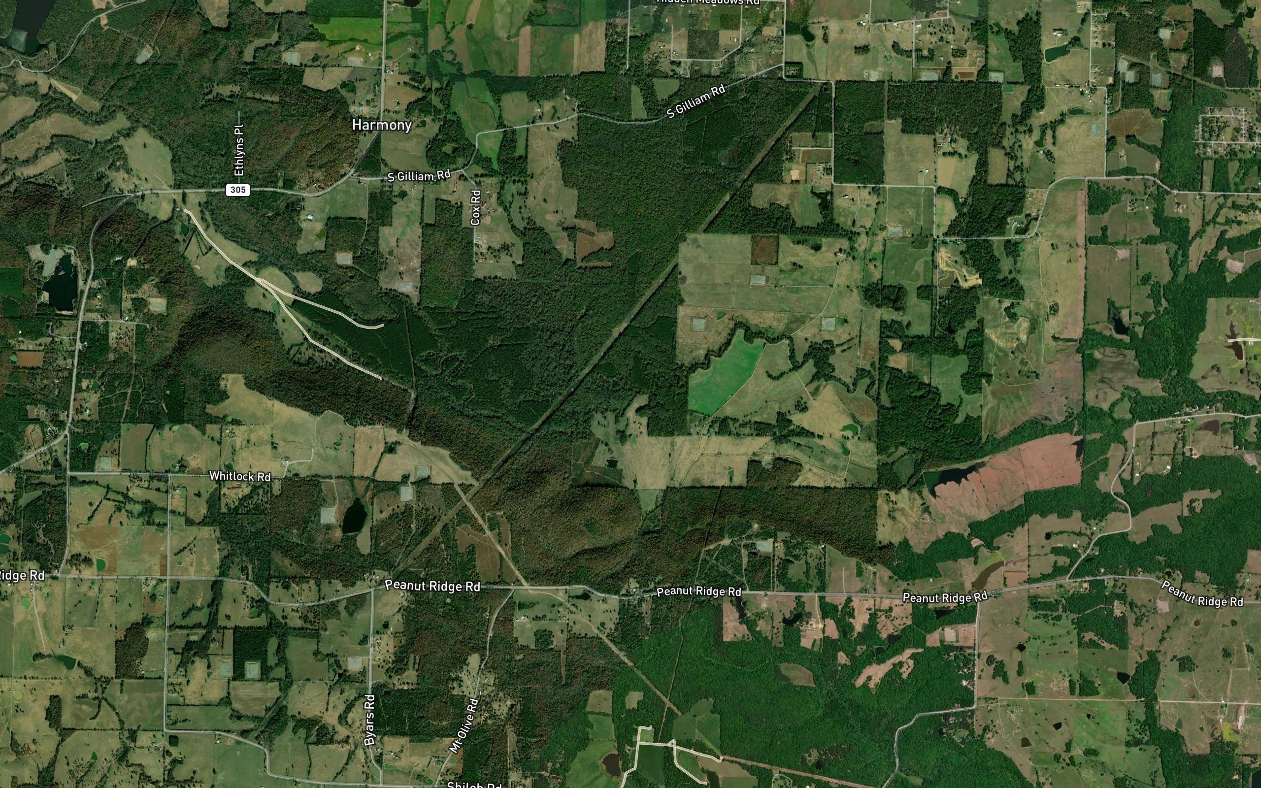 Hog Thief Creek
