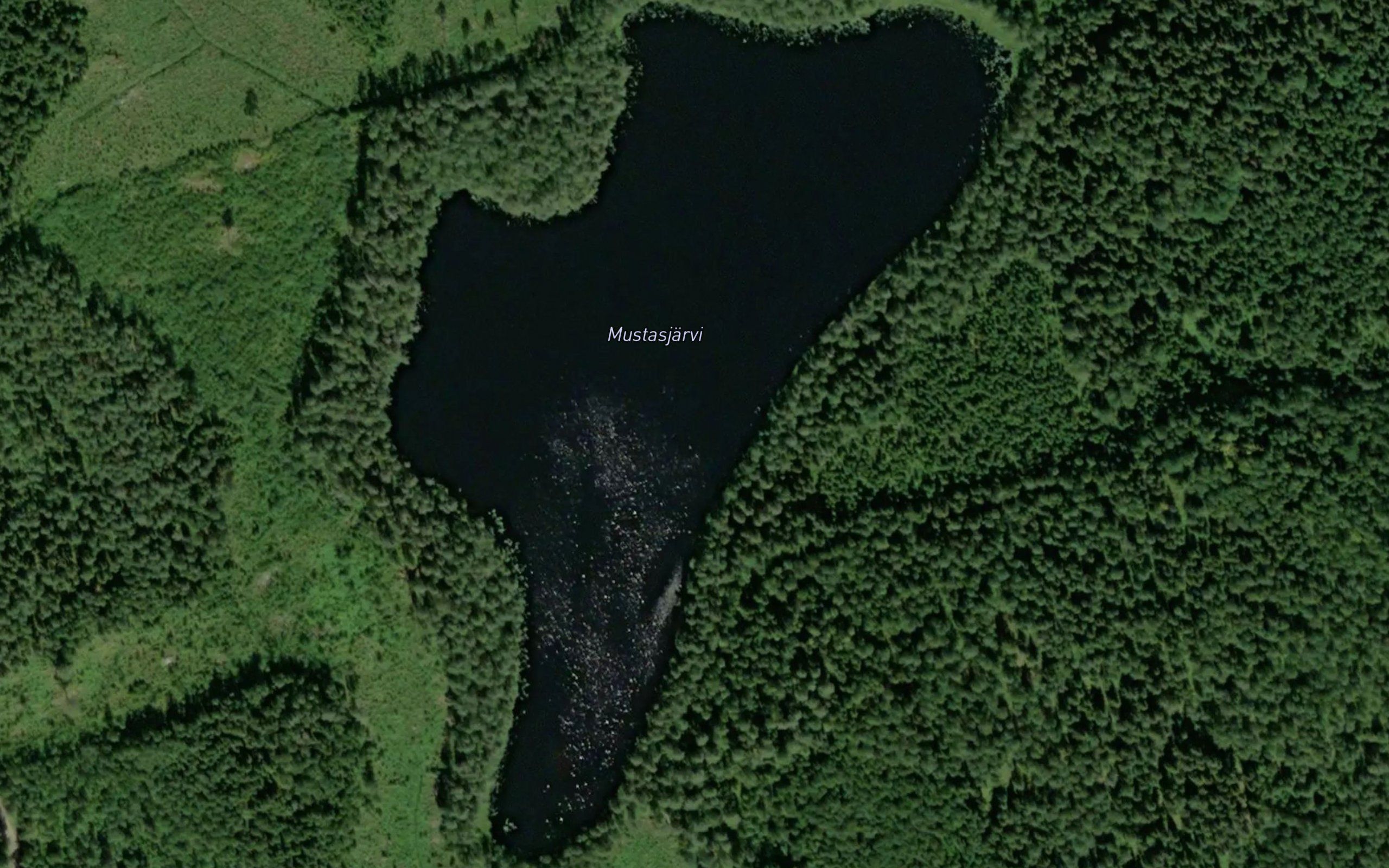 Mustasjarvi