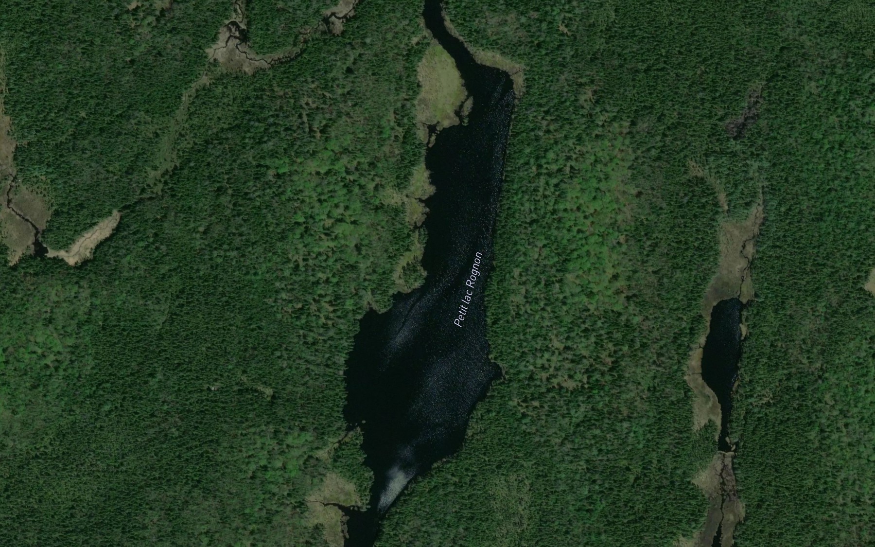 Satellite map of the Petit lac Rognon