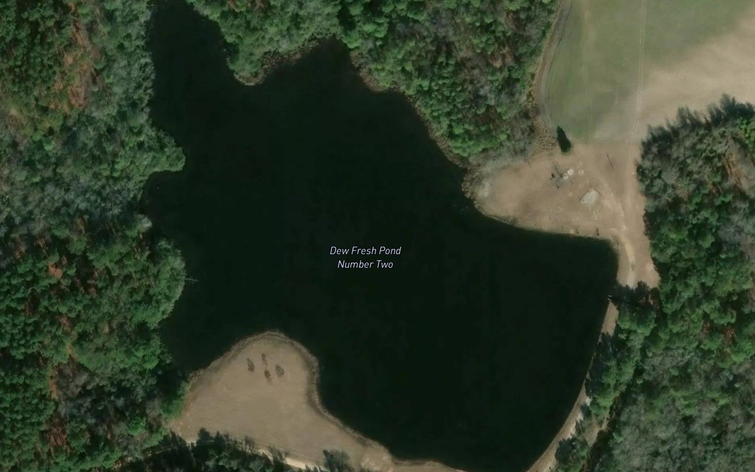 Dew Fresh Pond Number Two