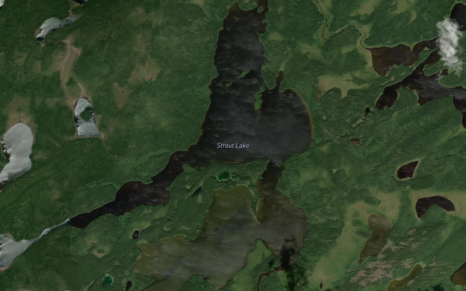 Satellite map of the Strout Lake