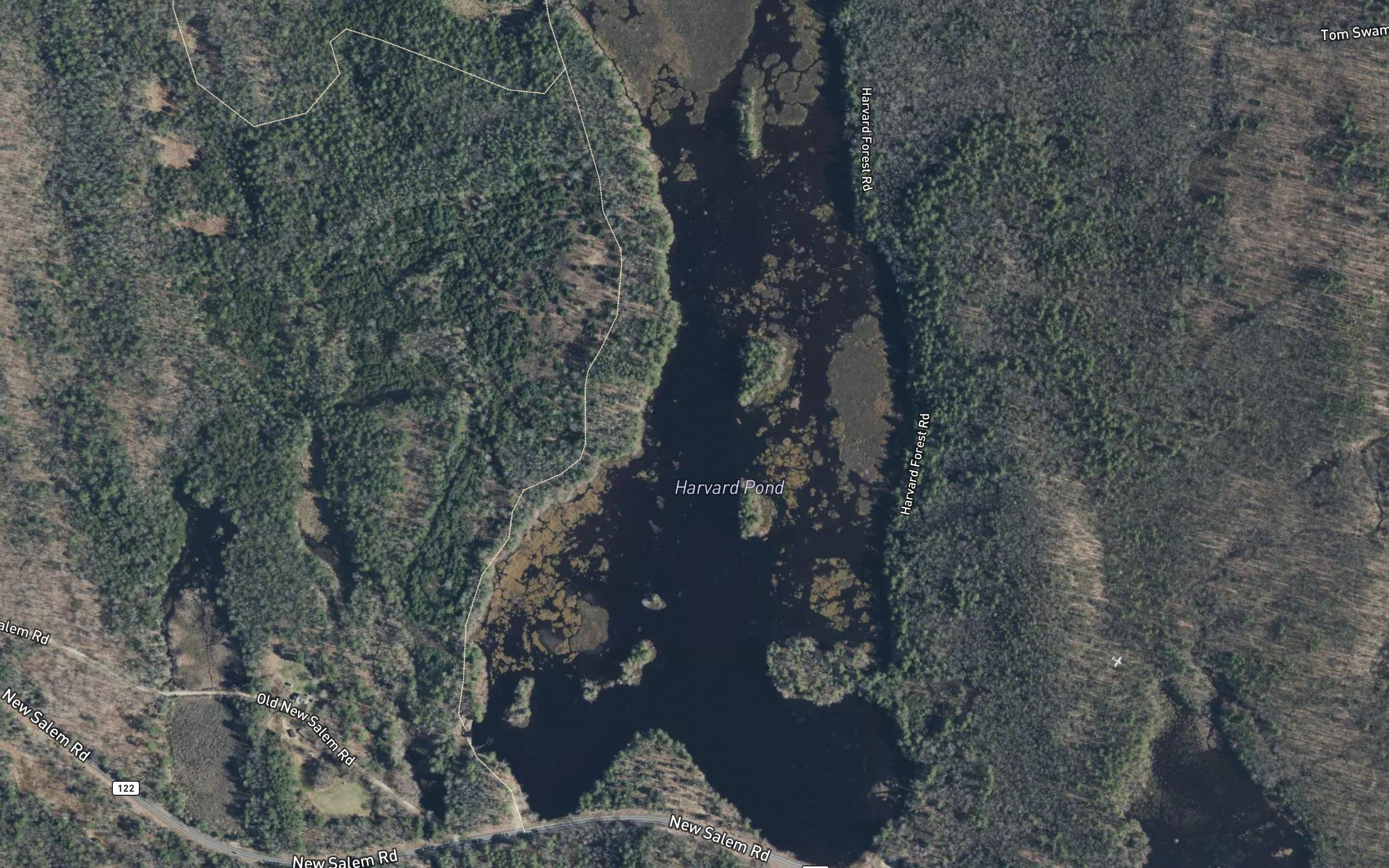 Harvard Pond