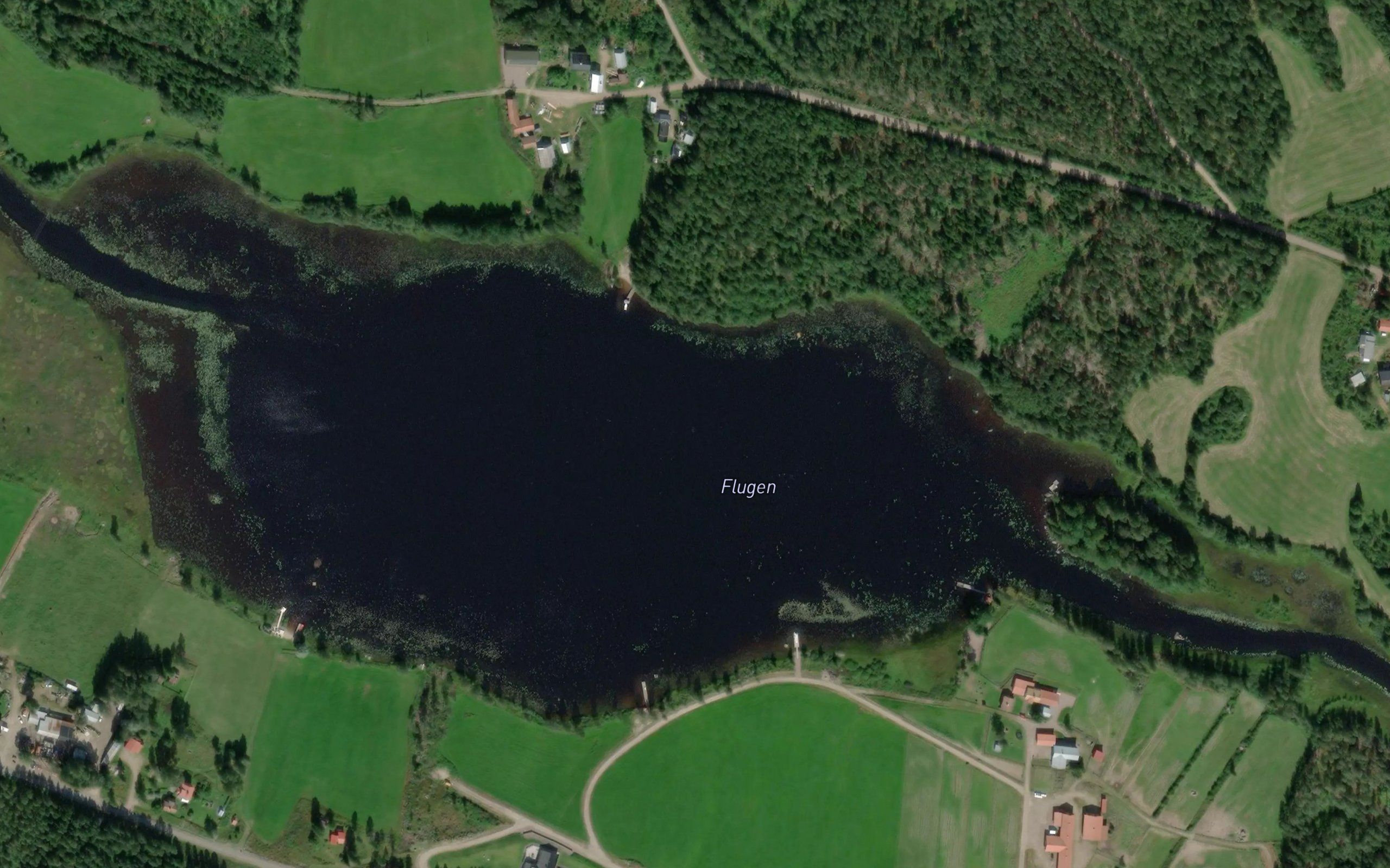 Flugen