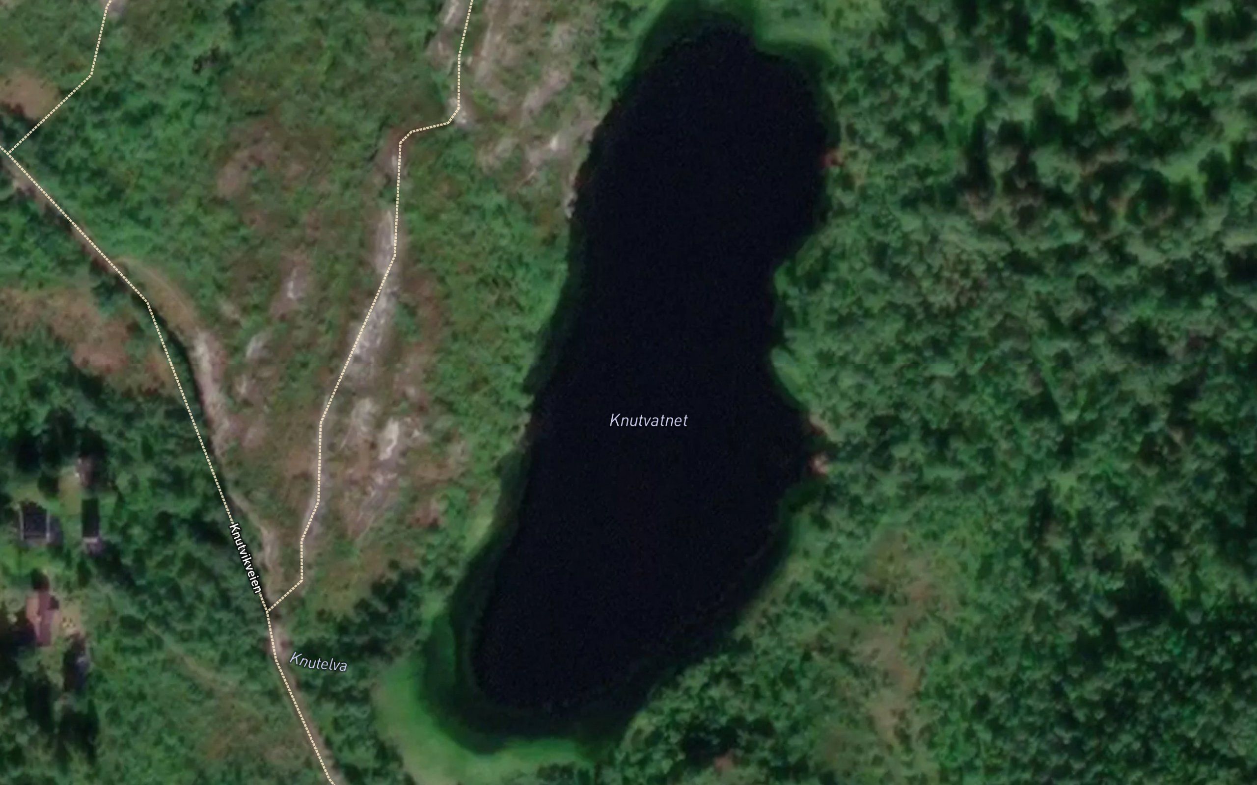 Knuttjorna