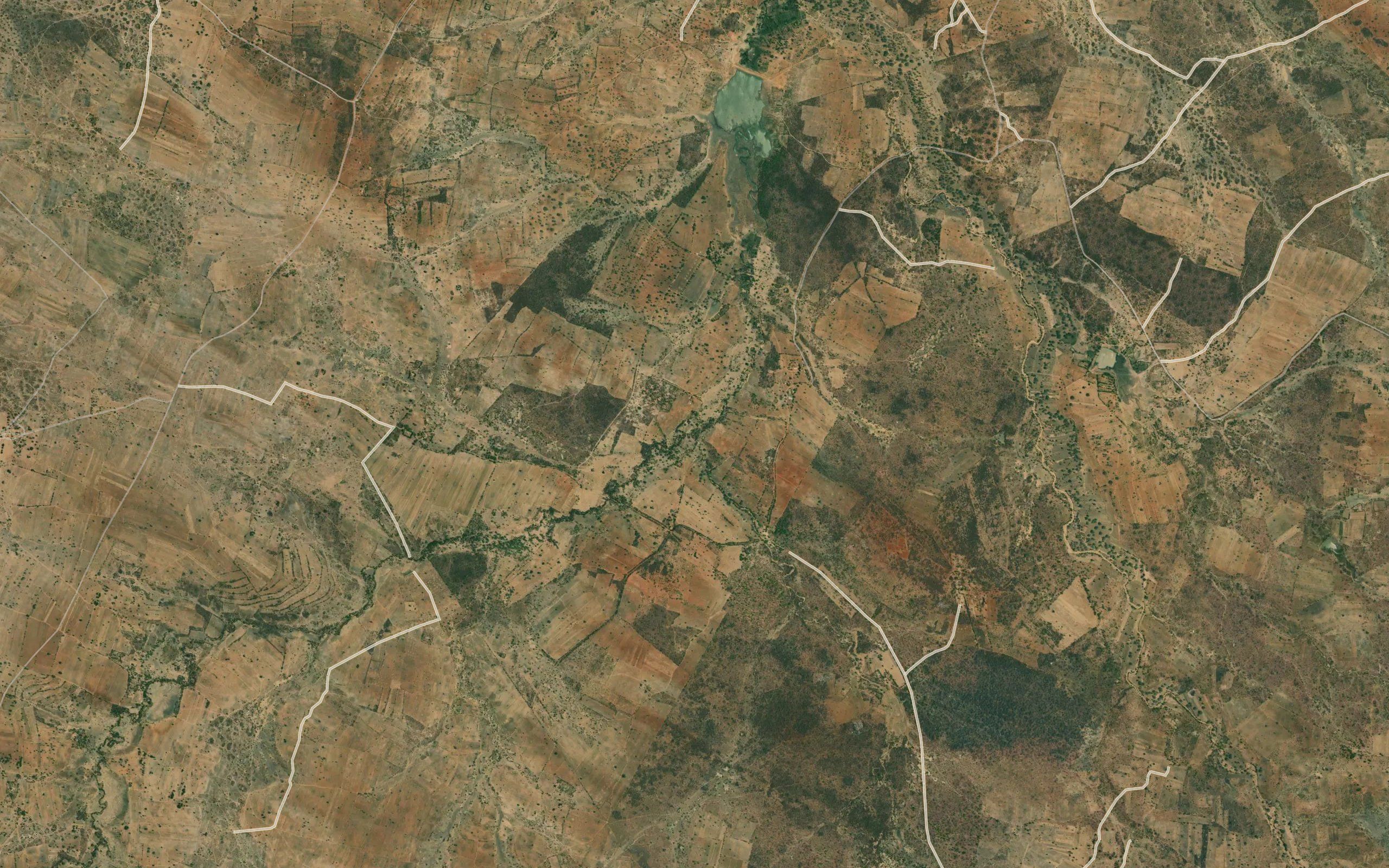 Kolikoli