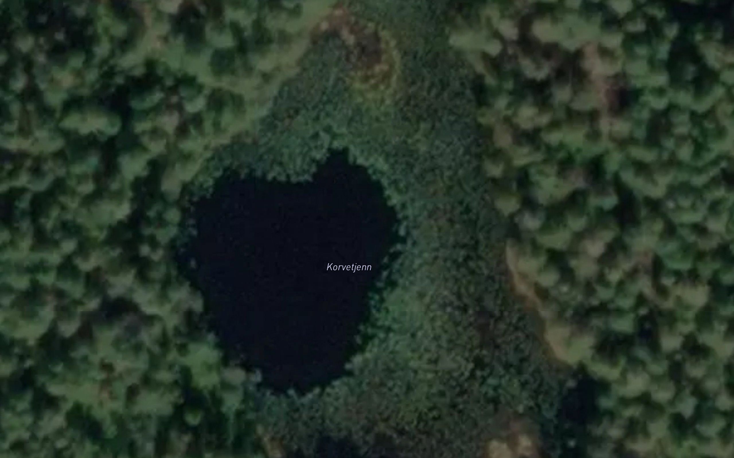 Korvetjenn