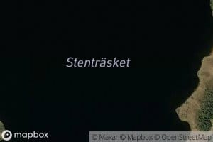 Stentrasket