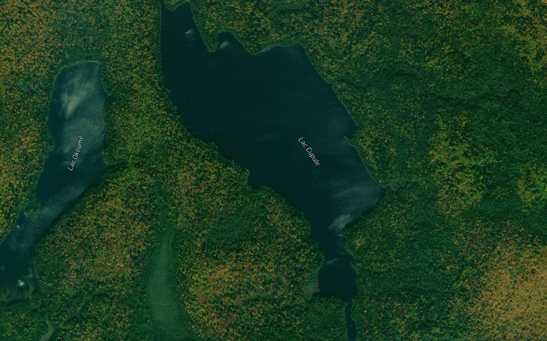 Satellite map of the Lac Cupule