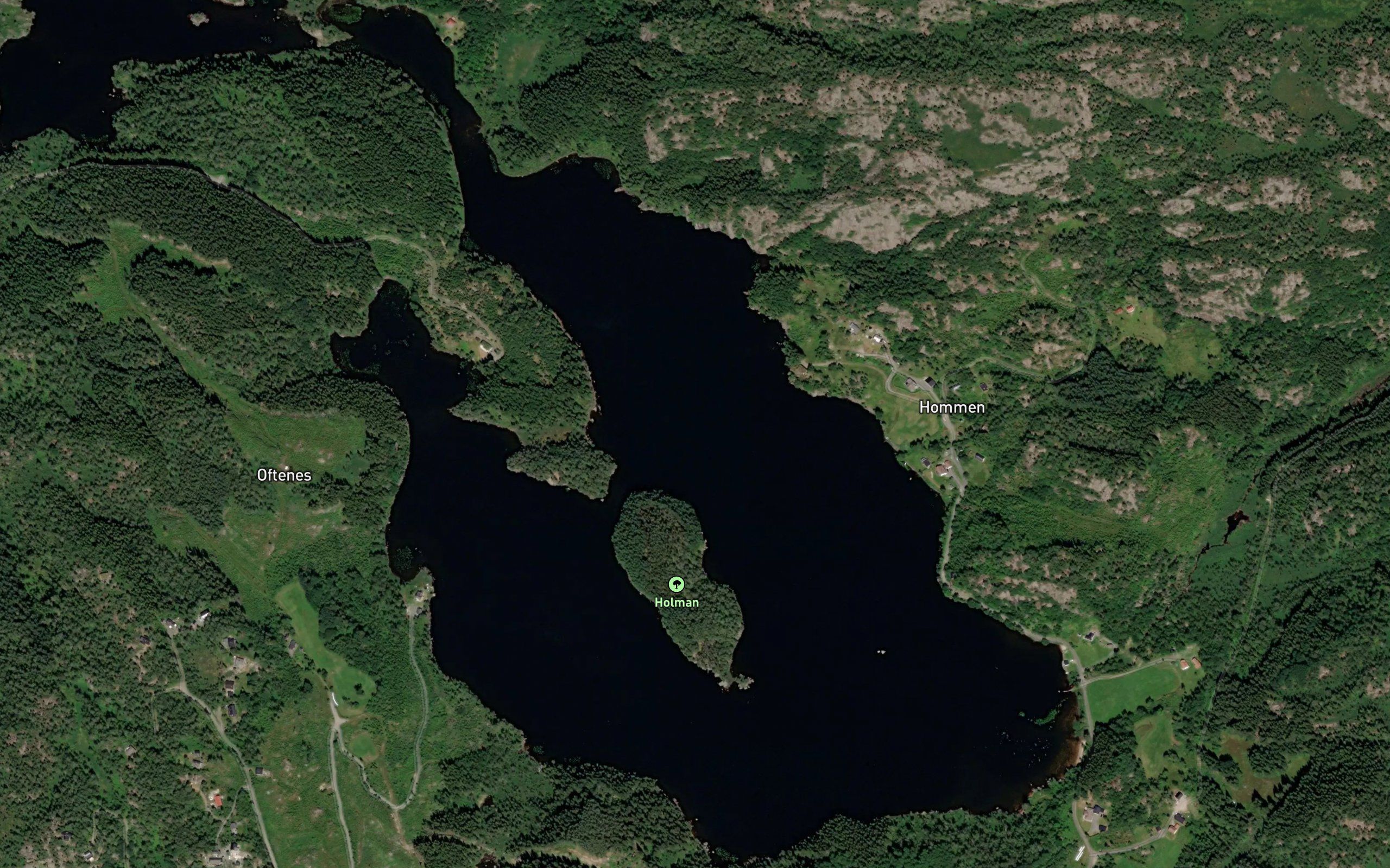 Homsvatnet