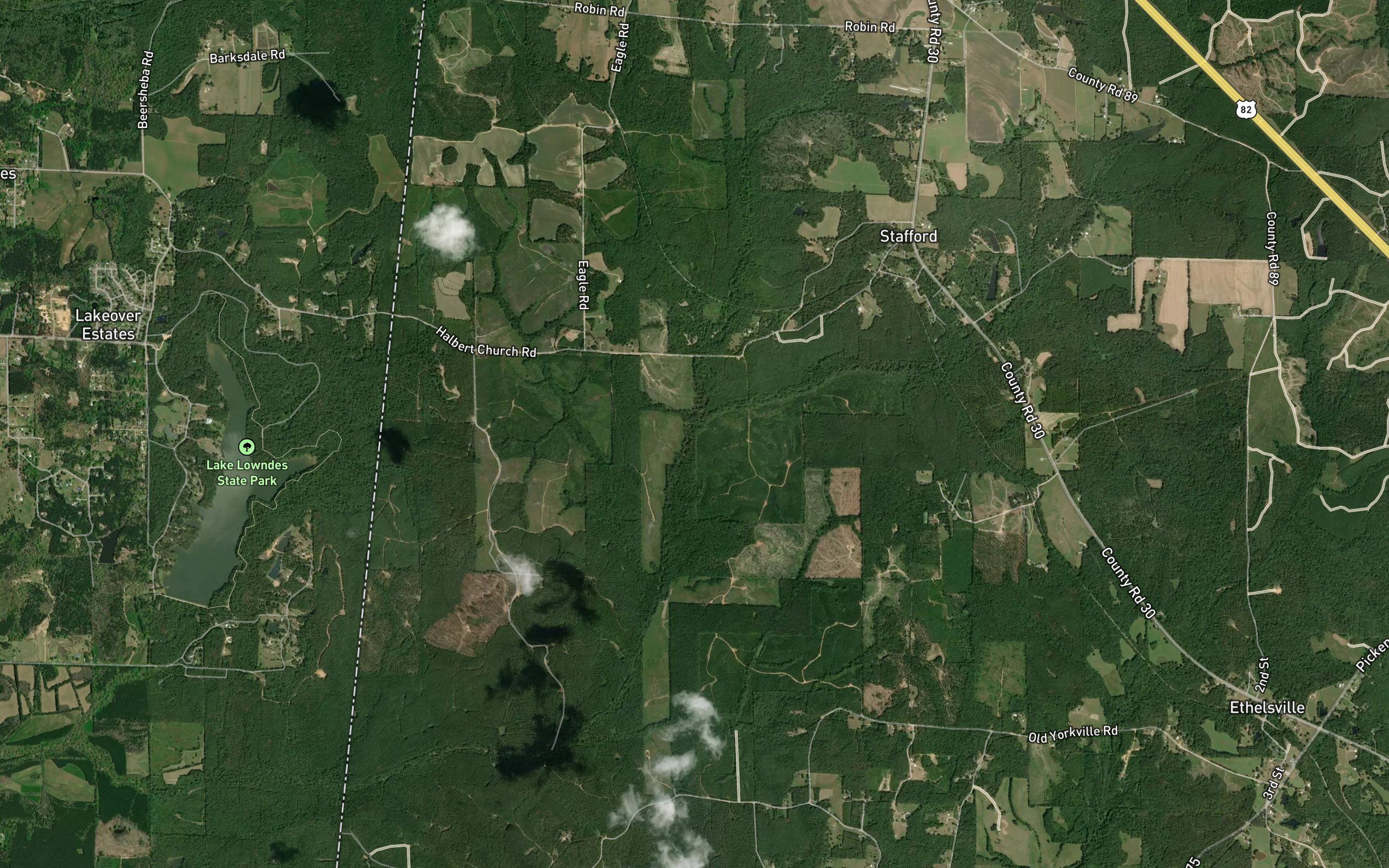 Bell Branch