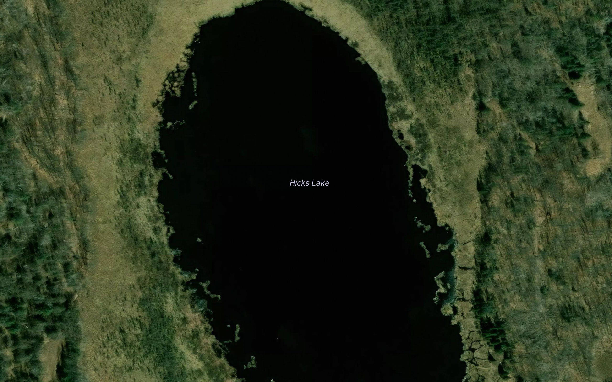 Hicks Lake