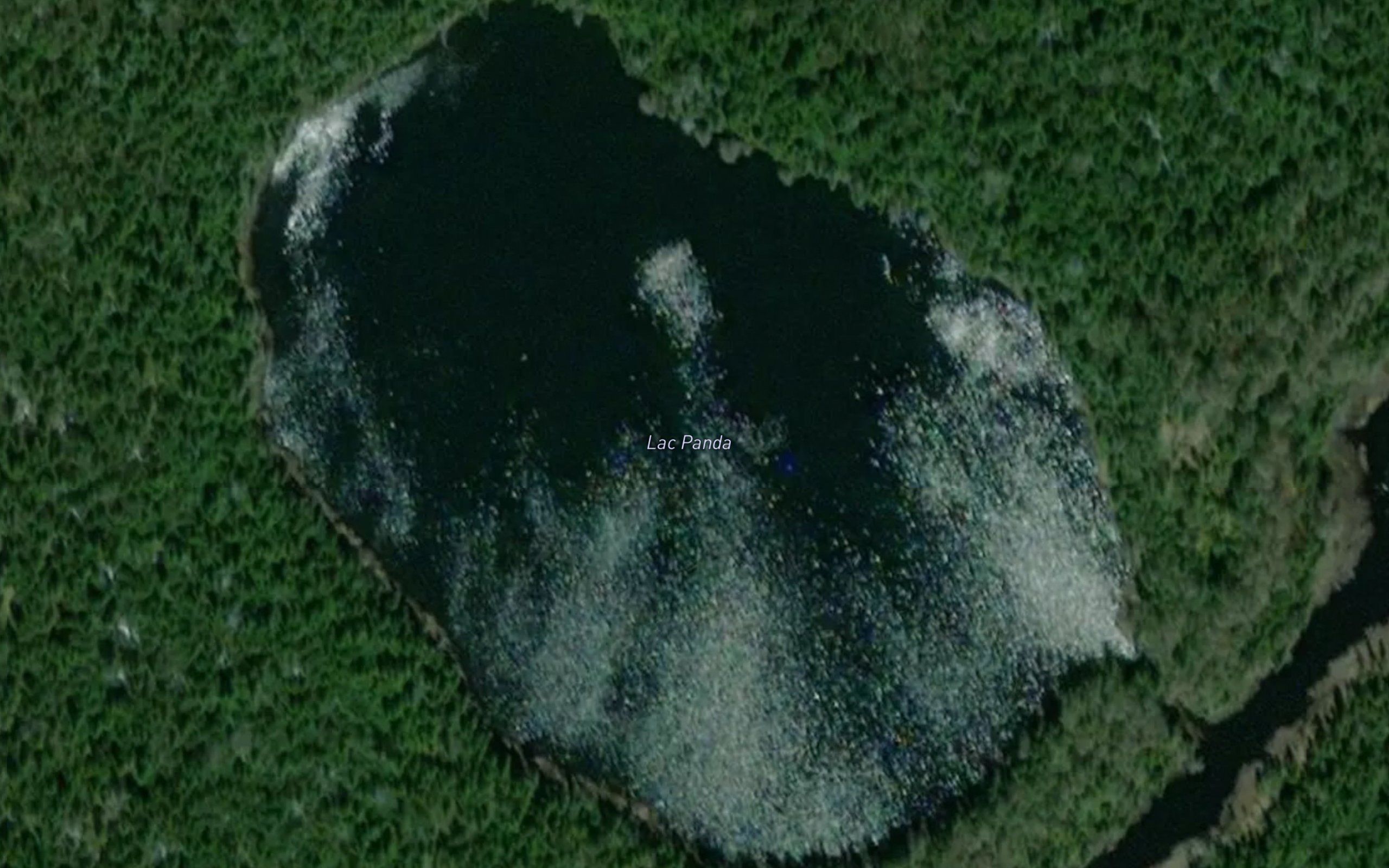 Lac Panda