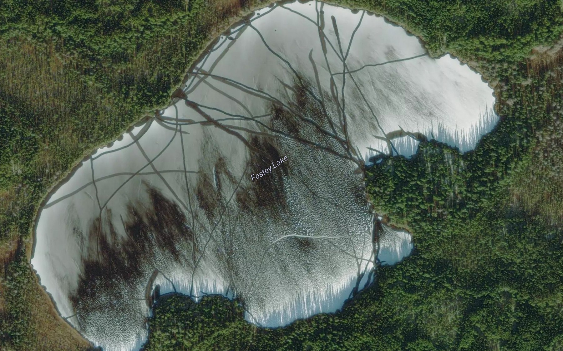 Satellite map of the Fostey Lake