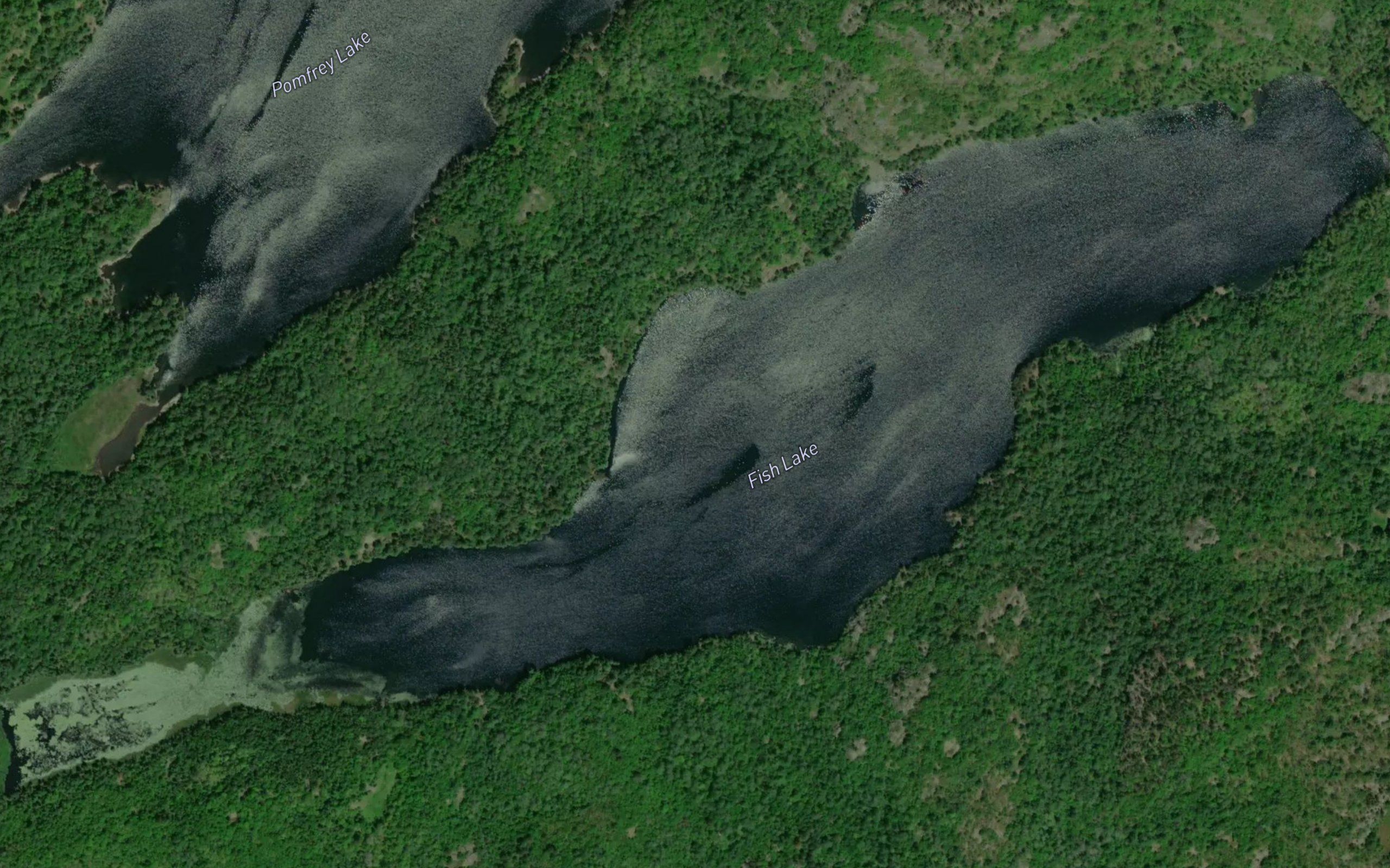 Fish Lake