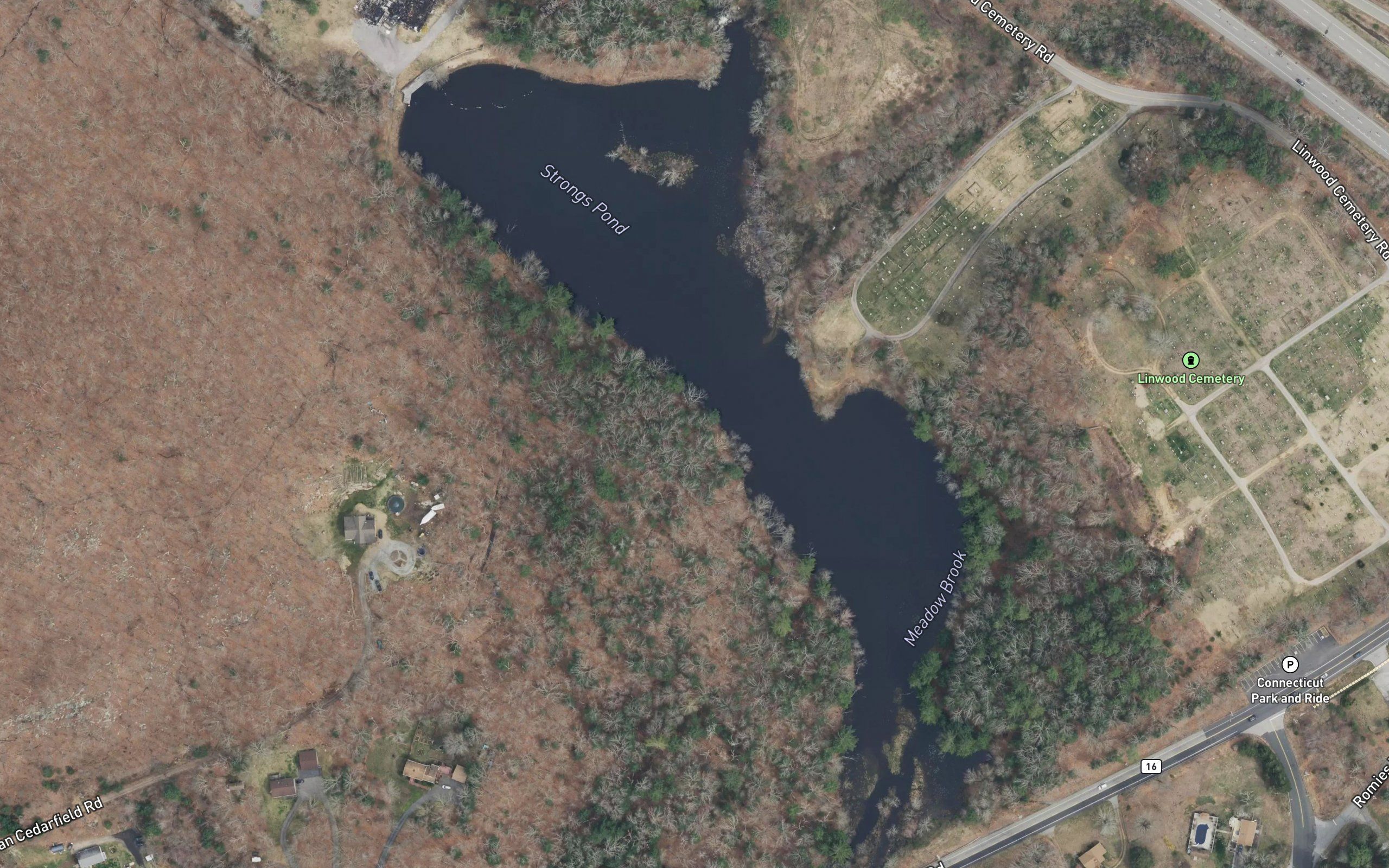 Strongs Pond
