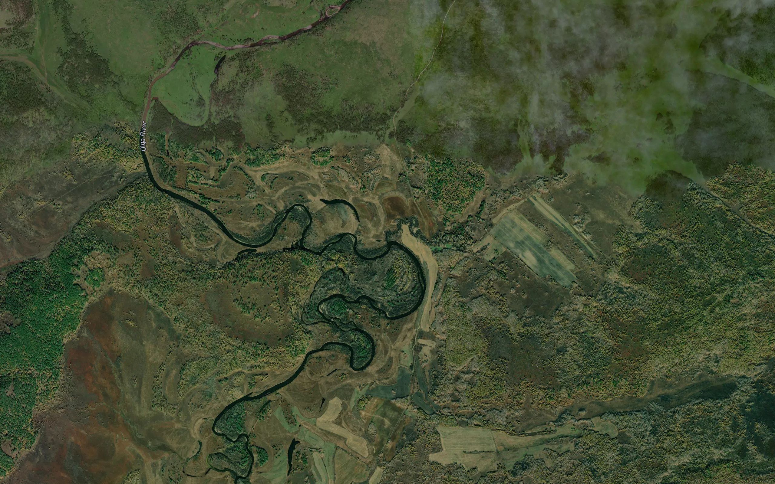 Talakan