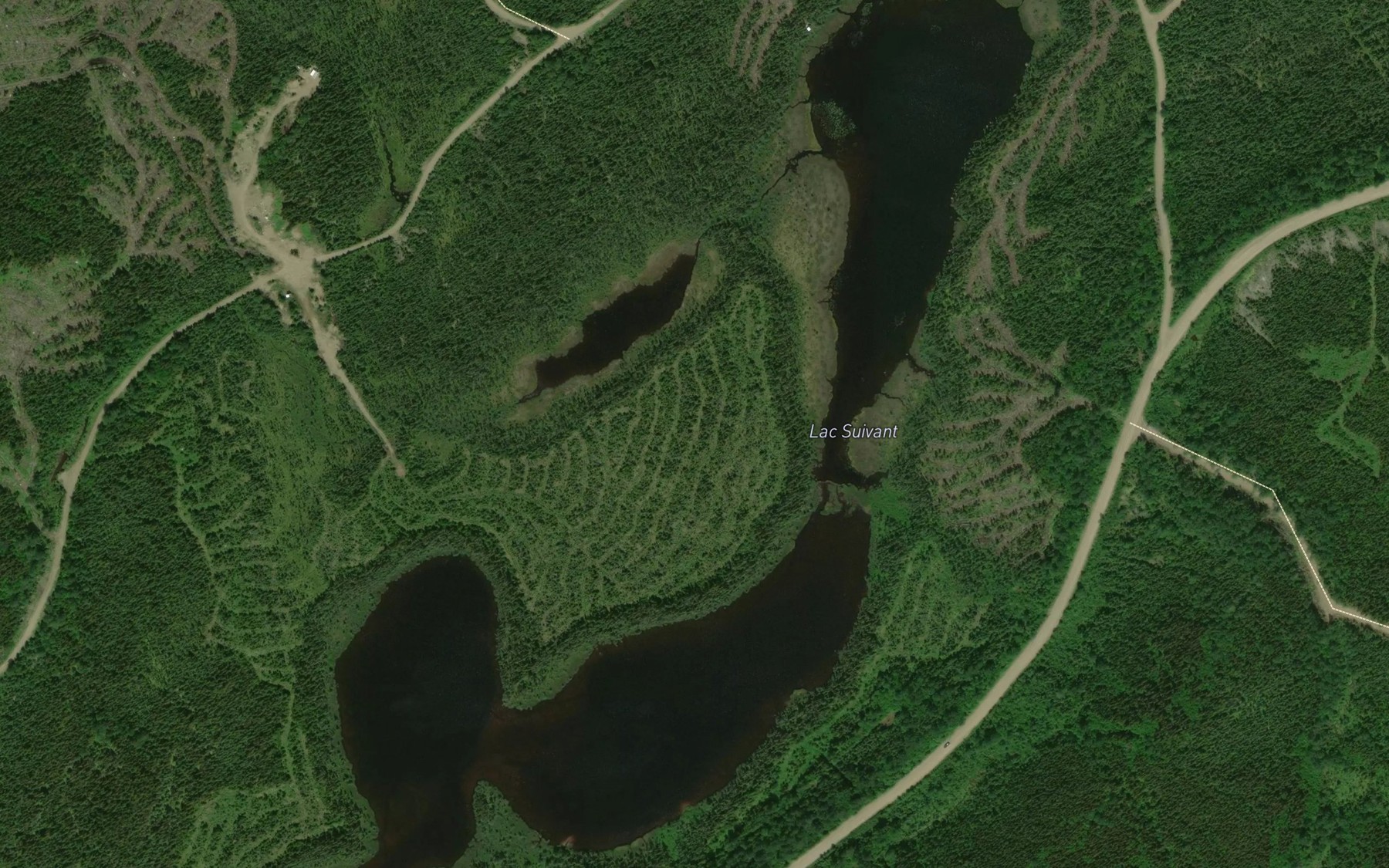 Satellite map of the Lac Suivant