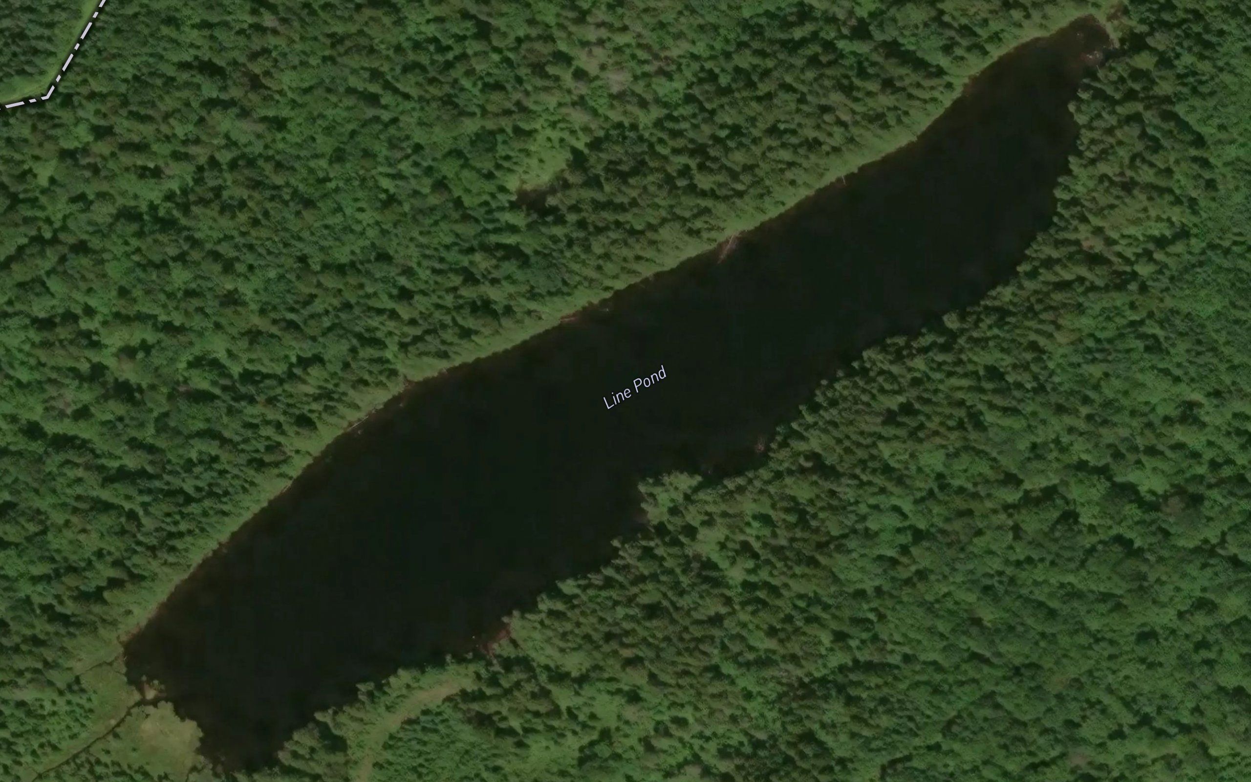 Line Pond