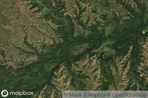 Canadote El Pastoreo